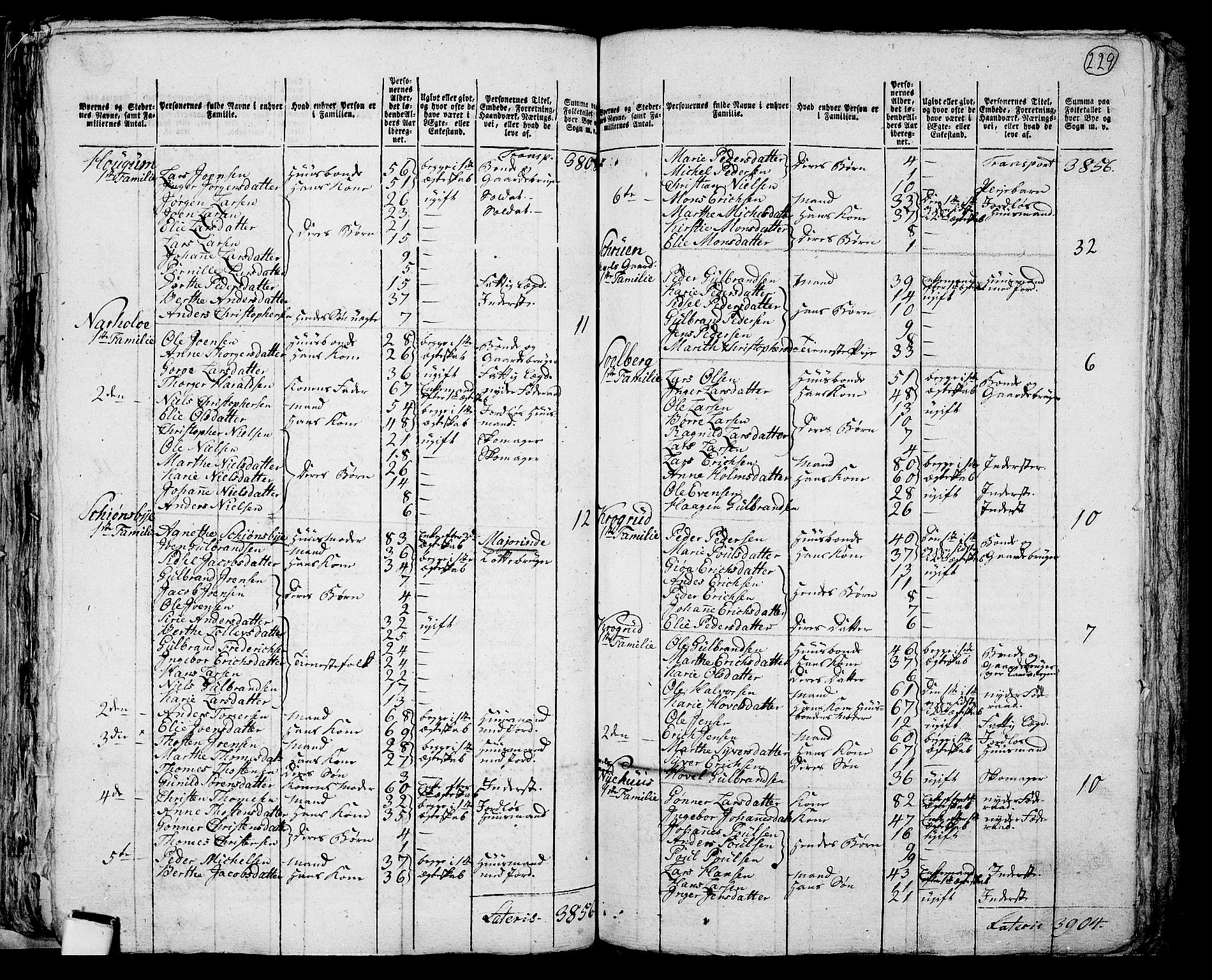 RA, 1801 census for 0412P Ringsaker, 1801, p. 228b-229a