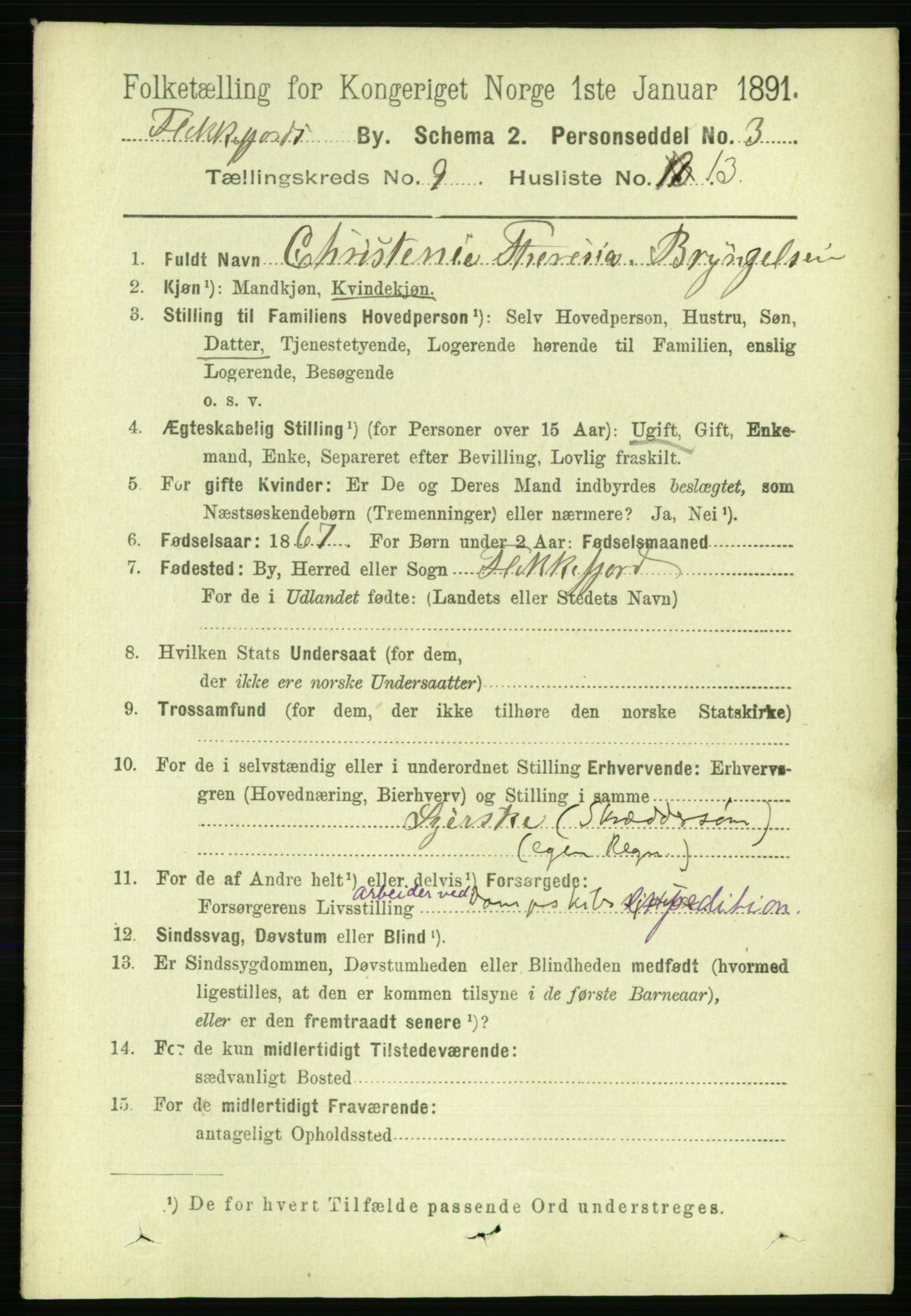 RA, 1891 census for 1004 Flekkefjord, 1891, p. 1530