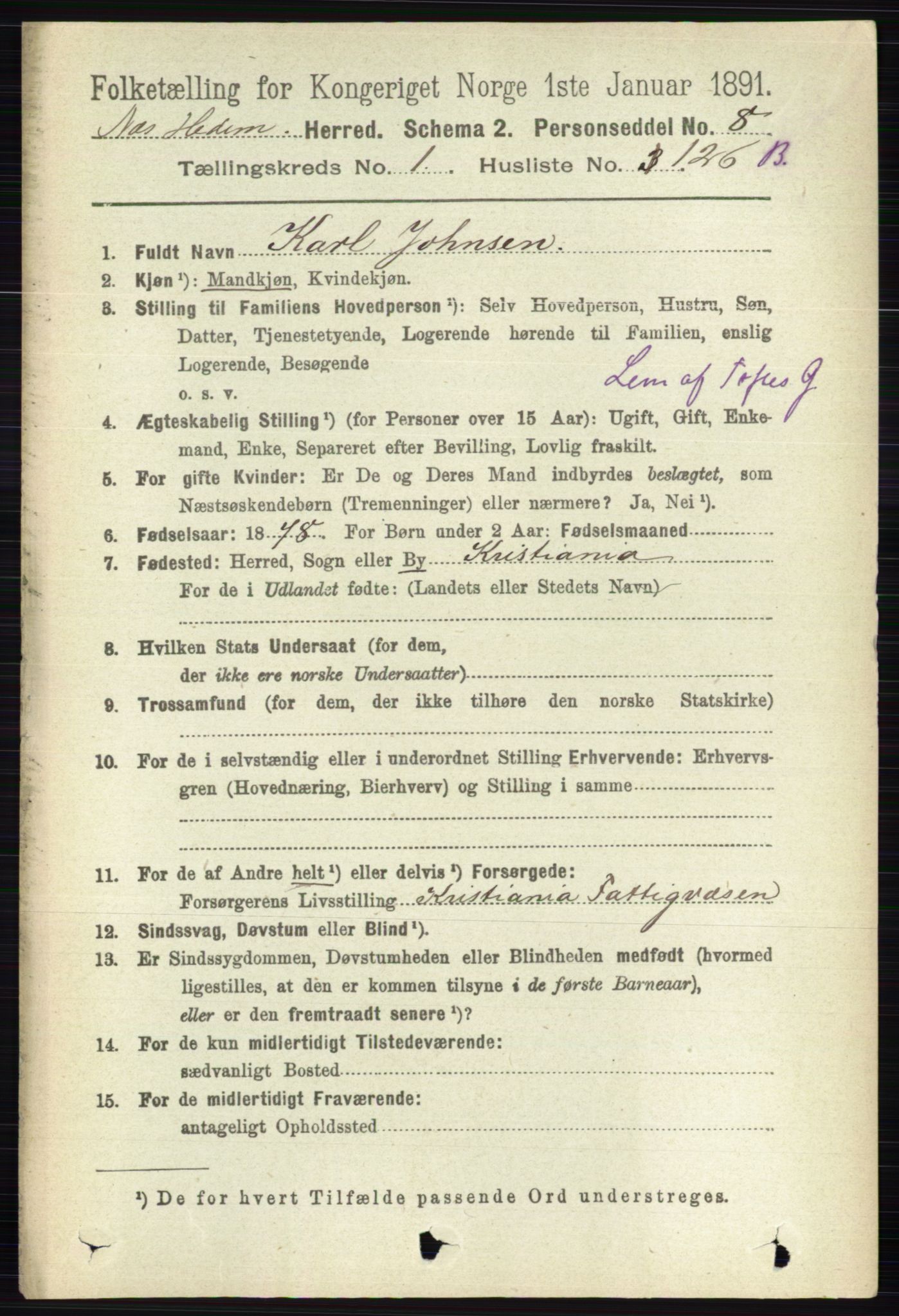 RA, 1891 census for 0411 Nes, 1891, p. 915