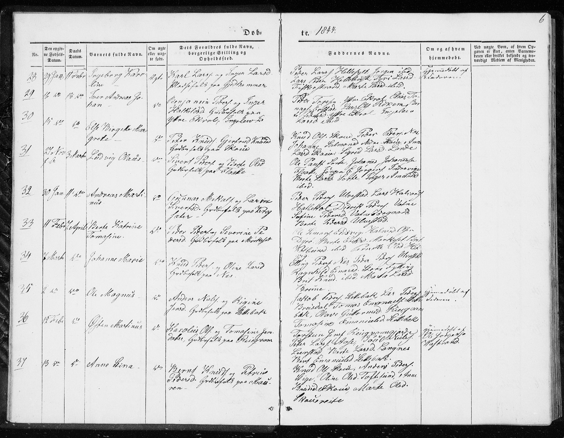 Ministerialprotokoller, klokkerbøker og fødselsregistre - Møre og Romsdal, AV/SAT-A-1454/528/L0415: Curate's parish register no. 528B03, 1843-1852, p. 6