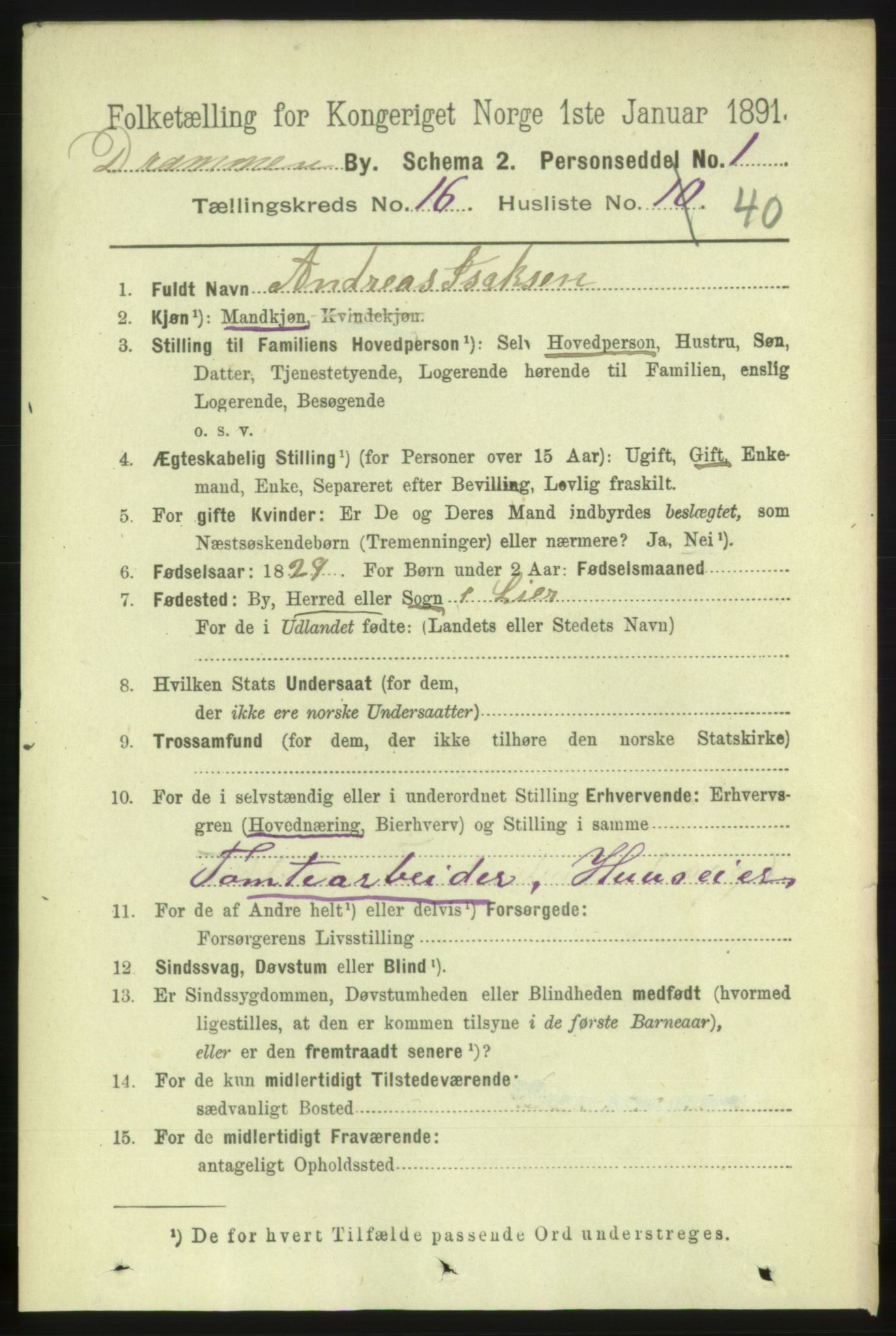 RA, 1891 census for 0602 Drammen, 1891, p. 11271