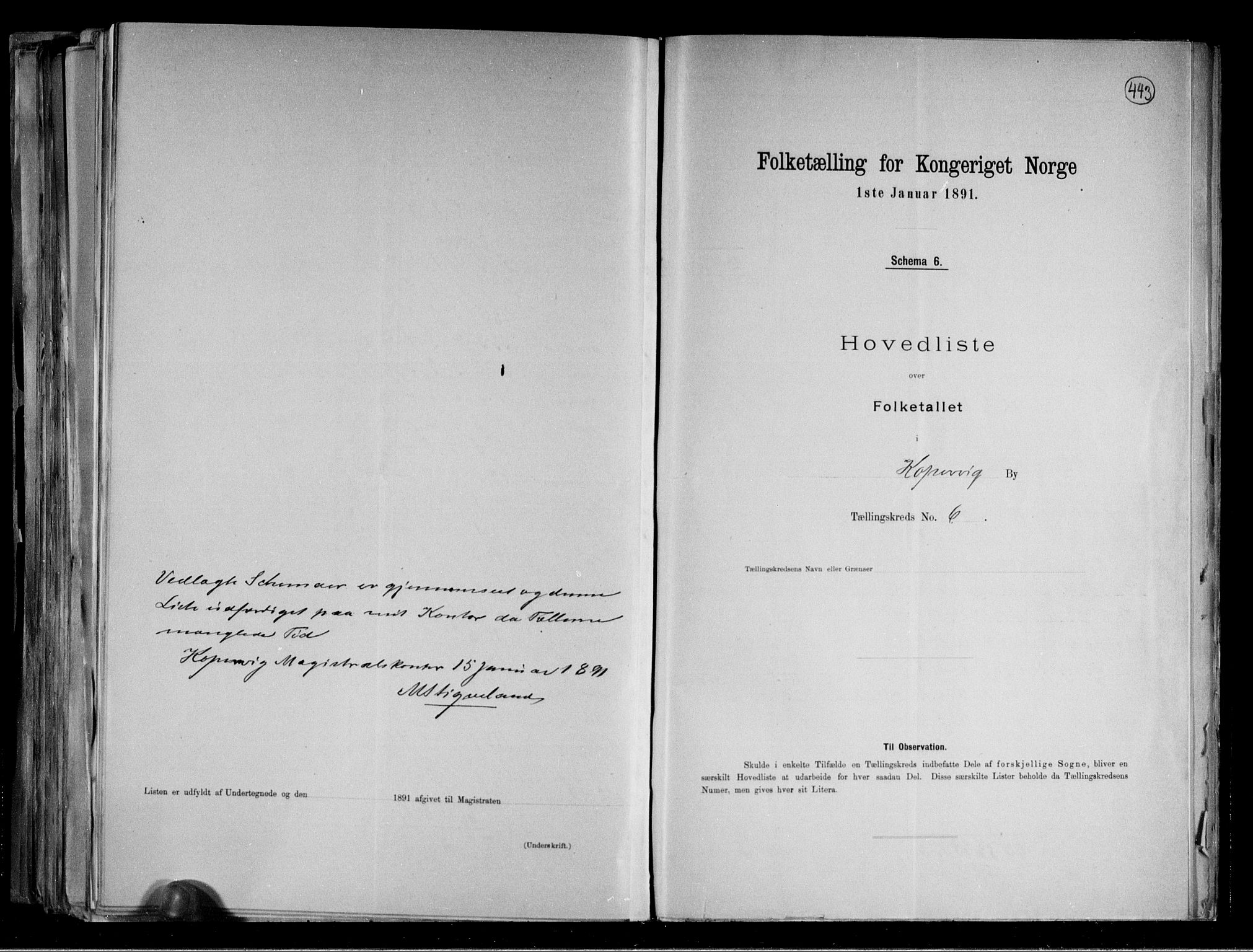 RA, 1891 census for 1105 Kopervik, 1891, p. 11