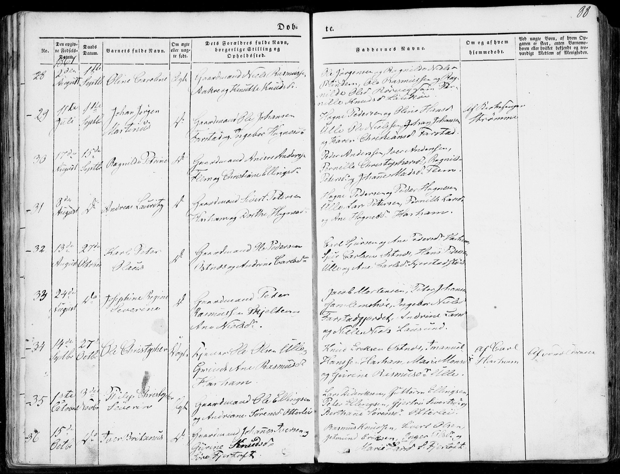 Ministerialprotokoller, klokkerbøker og fødselsregistre - Møre og Romsdal, AV/SAT-A-1454/536/L0497: Parish register (official) no. 536A06, 1845-1865, p. 88