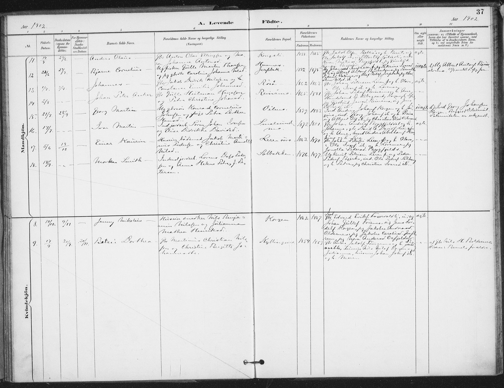 Ministerialprotokoller, klokkerbøker og fødselsregistre - Nordland, SAT/A-1459/826/L0380: Parish register (official) no. 826A03, 1891-1911, p. 37