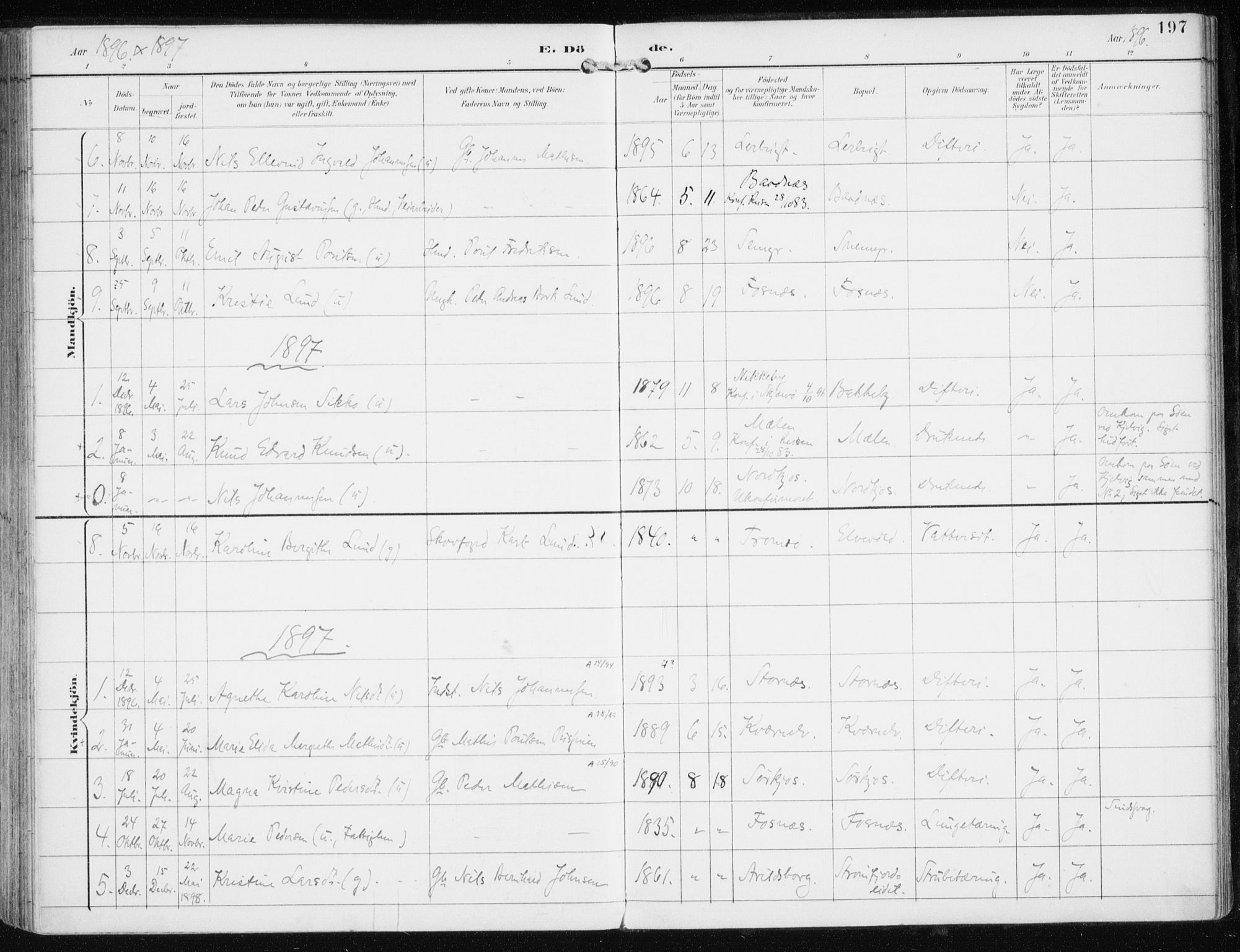 Skjervøy sokneprestkontor, AV/SATØ-S-1300/H/Ha/Haa/L0017kirke: Parish register (official) no. 17, 1895-1911, p. 197