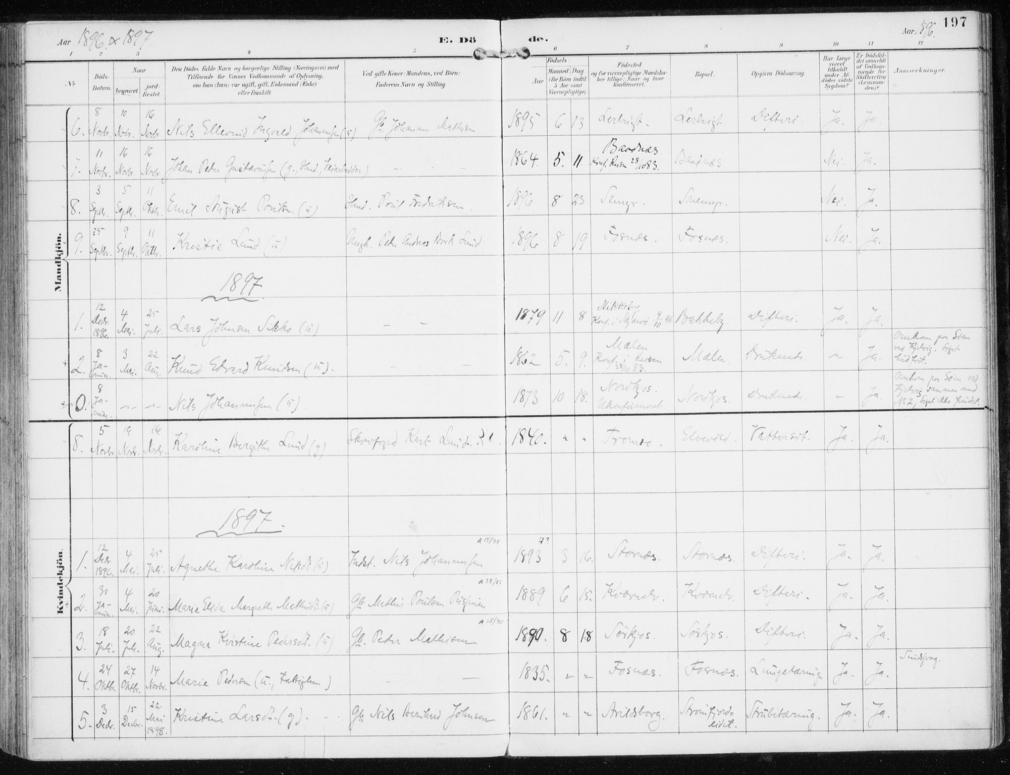 Skjervøy sokneprestkontor, SATØ/S-1300/H/Ha/Haa/L0017kirke: Parish register (official) no. 17, 1895-1911, p. 197