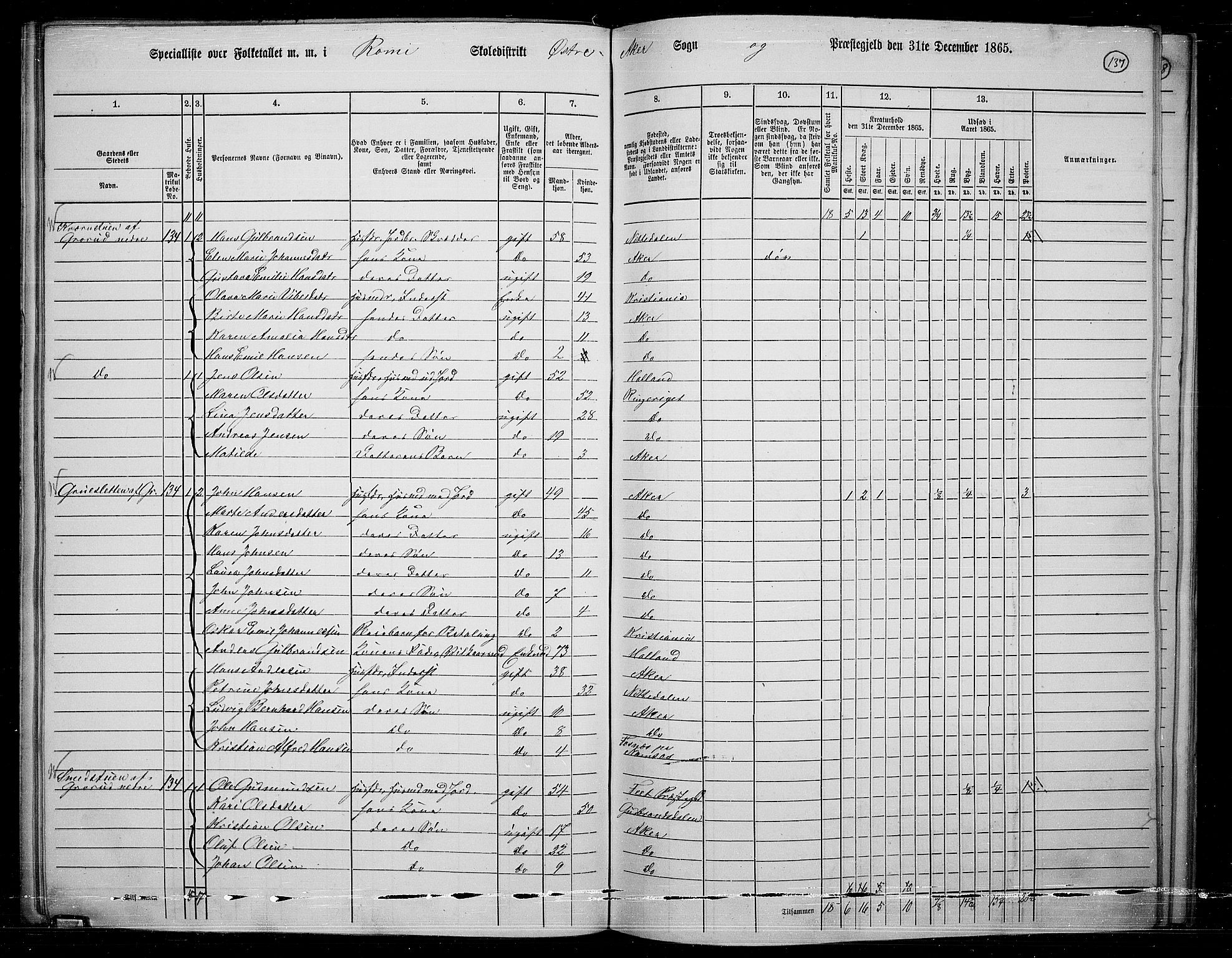 RA, 1865 census for Østre Aker, 1865, p. 130