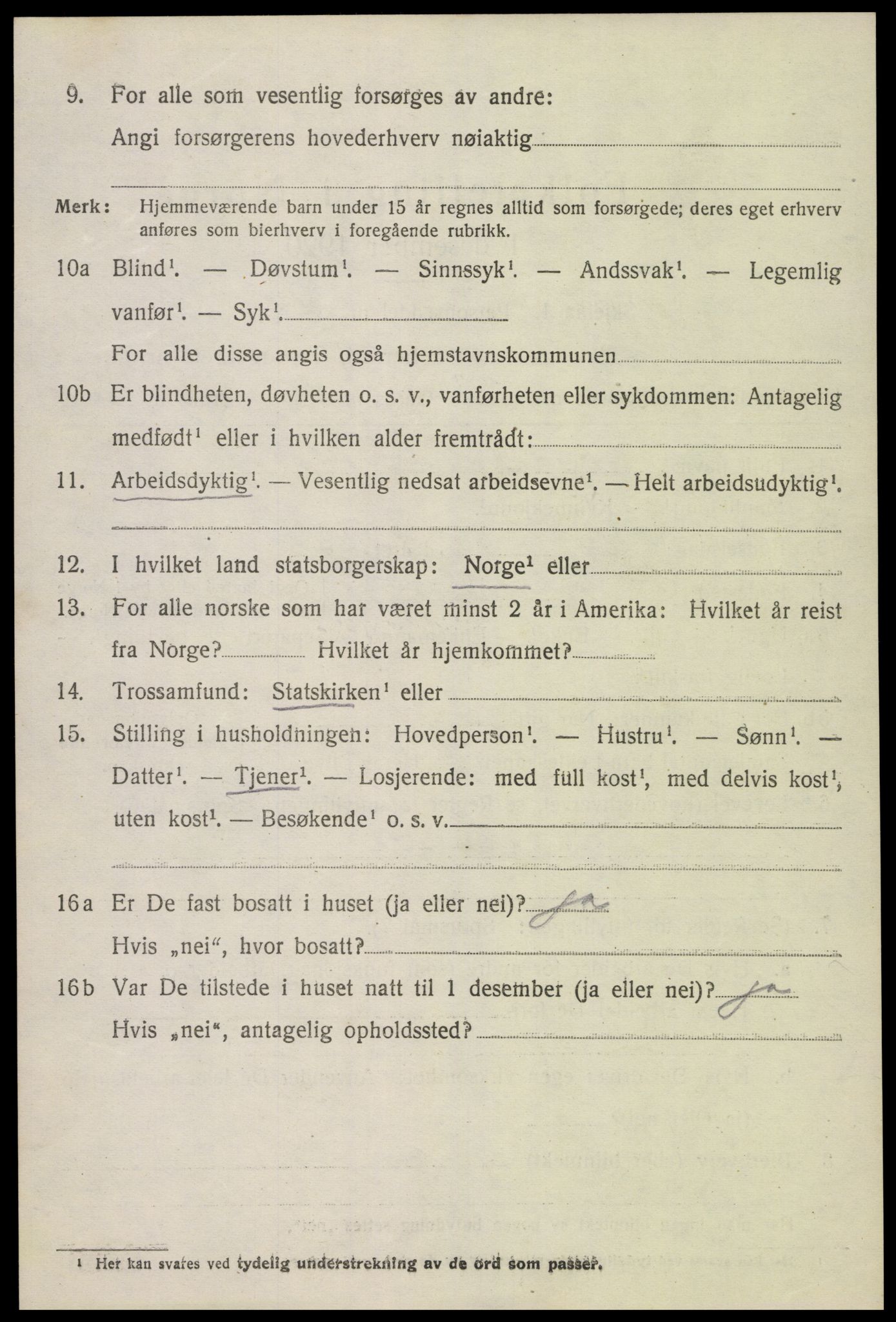 SAK, 1920 census for Hornnes, 1920, p. 3266
