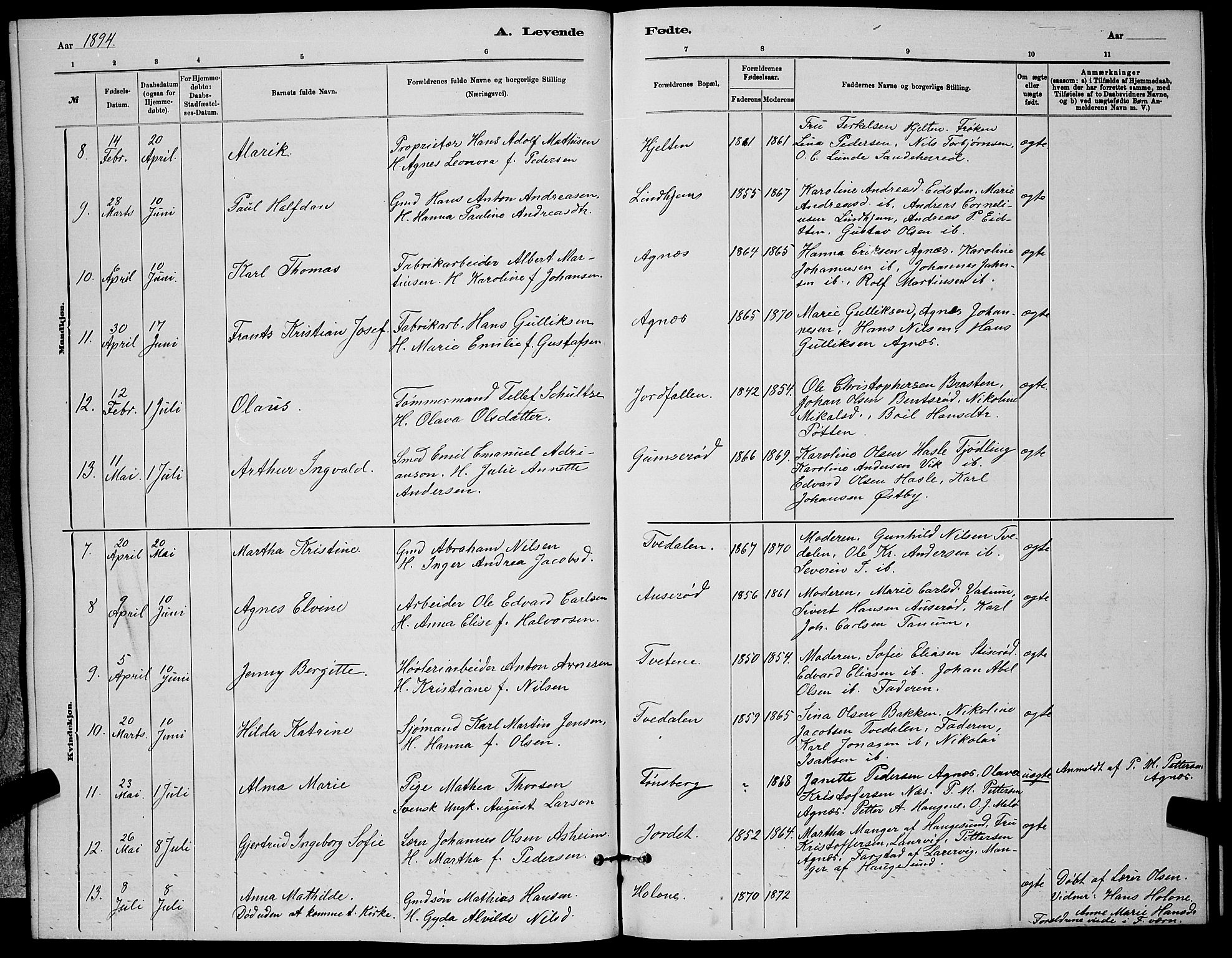 Brunlanes kirkebøker, AV/SAKO-A-342/G/Ga/L0003: Parish register (copy) no. I 3, 1877-1898