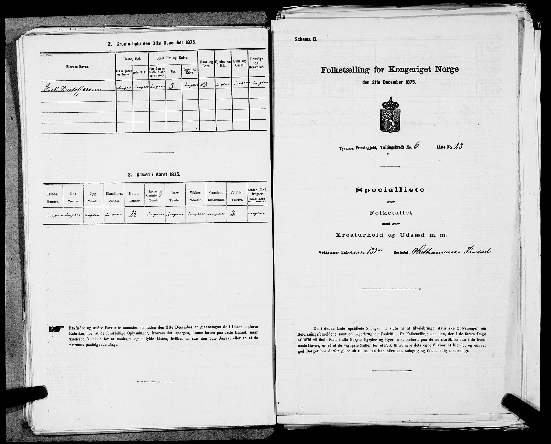 SAST, 1875 census for 1146P Tysvær, 1875, p. 696