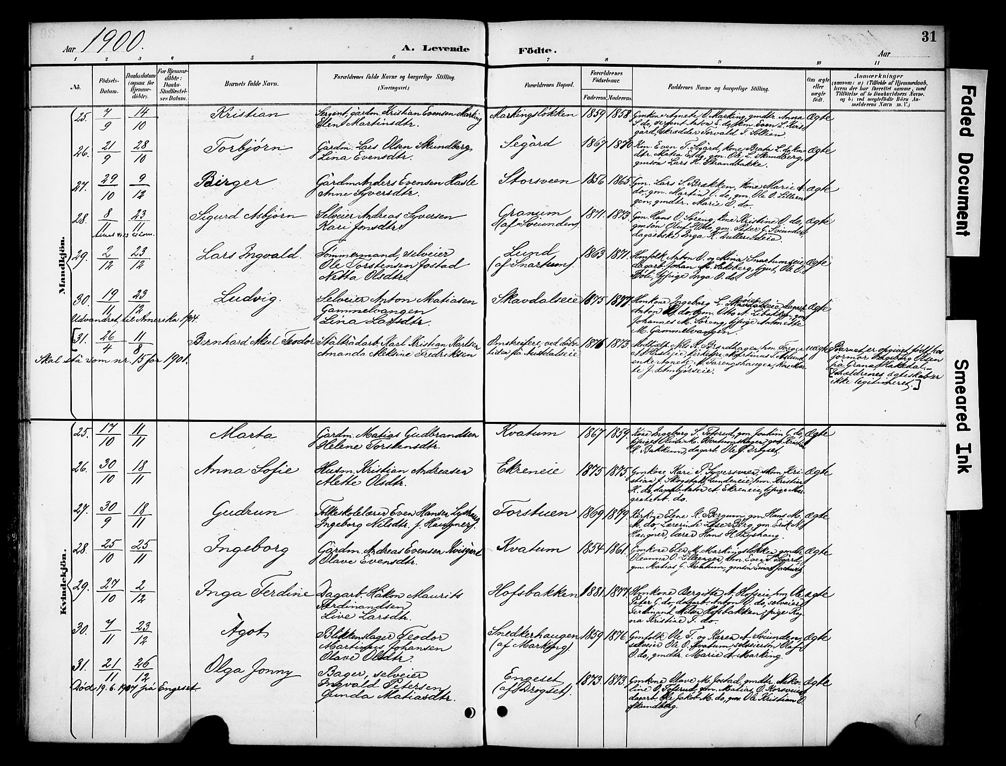 Biri prestekontor, SAH/PREST-096/H/Ha/Haa/L0008: Parish register (official) no. 8, 1894-1901, p. 31