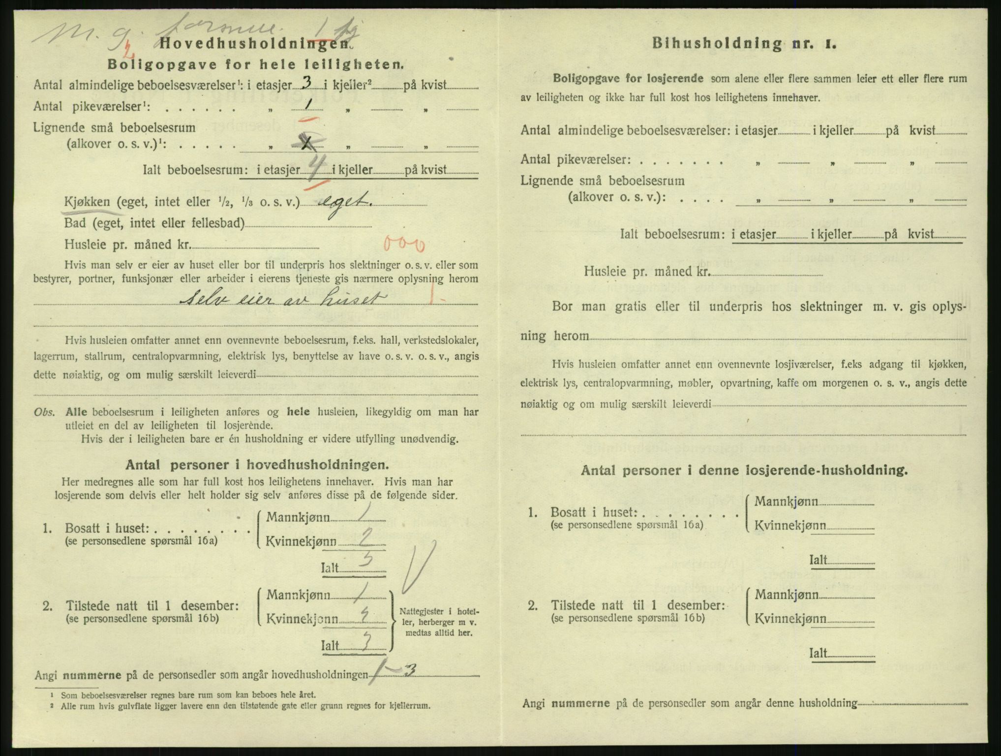 SAKO, 1920 census for Larvik, 1920, p. 5191