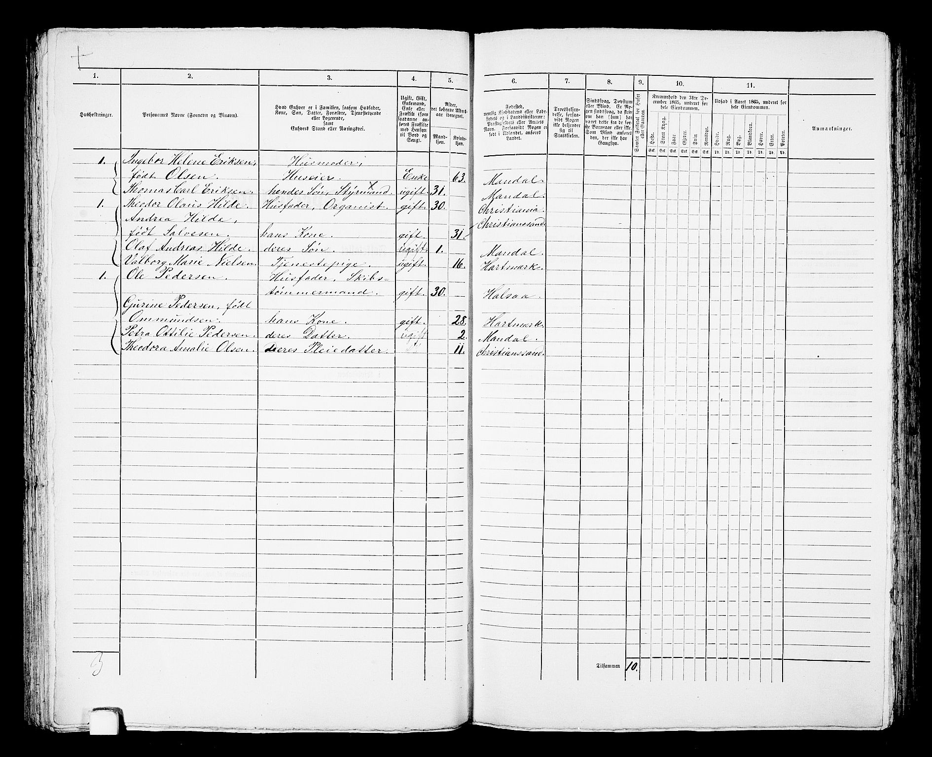 RA, 1865 census for Mandal/Mandal, 1865, p. 607