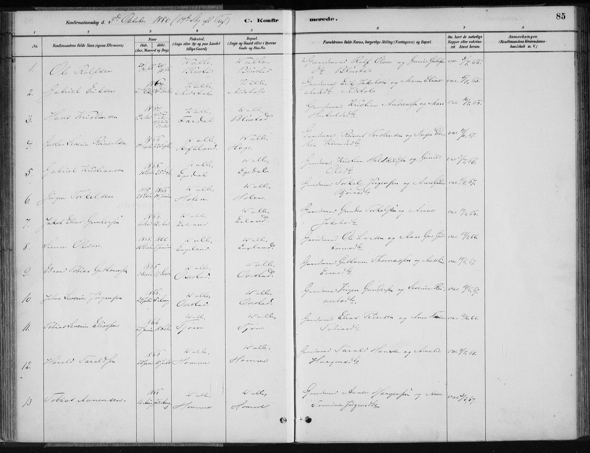 Sør-Audnedal sokneprestkontor, SAK/1111-0039/F/Fa/Fab/L0009: Parish register (official) no. A 9, 1880-1895, p. 85
