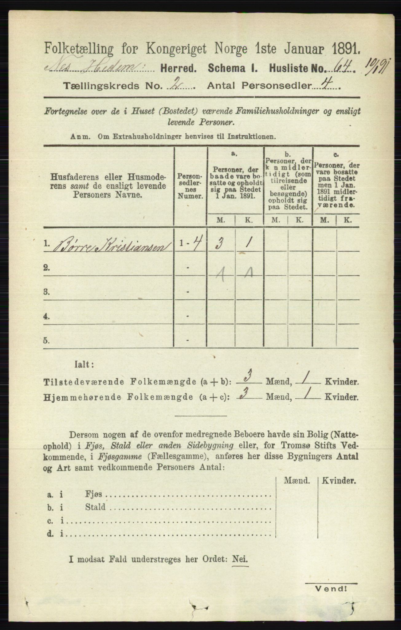 RA, 1891 census for 0411 Nes, 1891, p. 1069