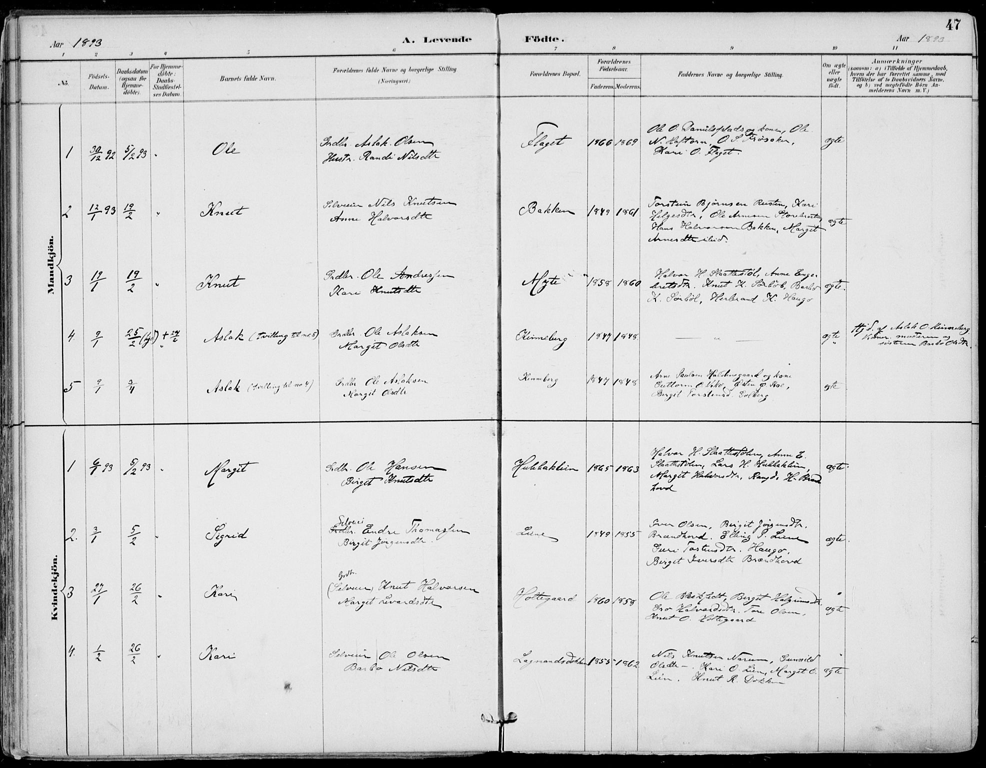 Gol kirkebøker, AV/SAKO-A-226/F/Fa/L0005: Parish register (official) no. I 5, 1887-1900, p. 47