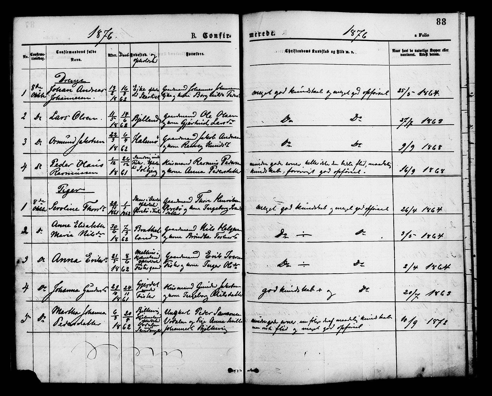 Hjelmeland sokneprestkontor, SAST/A-101843/01/IV/L0013: Parish register (official) no. A 13, 1872-1886, p. 88