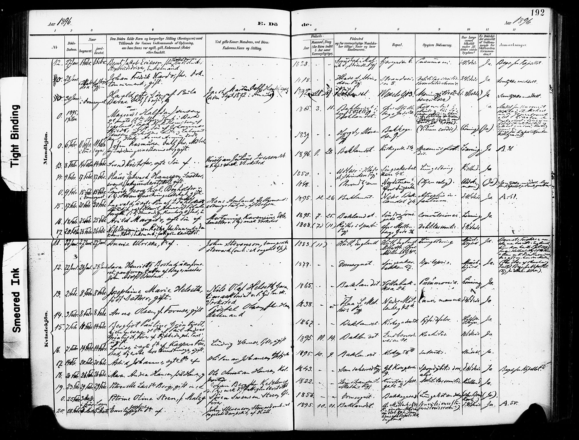 Ministerialprotokoller, klokkerbøker og fødselsregistre - Sør-Trøndelag, SAT/A-1456/604/L0198: Parish register (official) no. 604A19, 1893-1900, p. 192