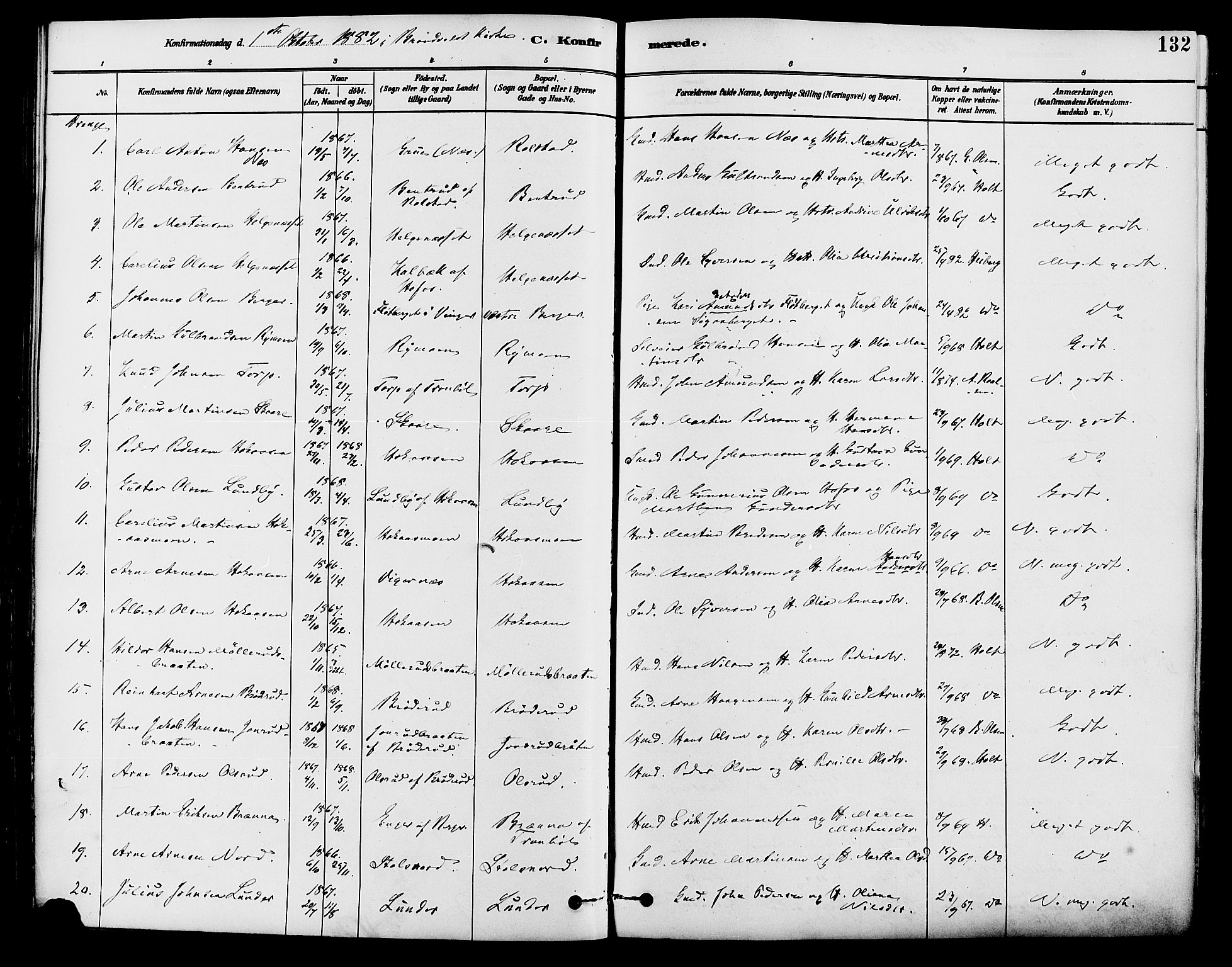 Brandval prestekontor, SAH/PREST-034/H/Ha/Haa/L0002: Parish register (official) no. 2, 1880-1894, p. 132