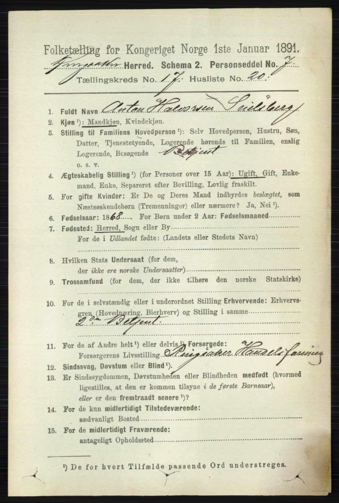 RA, 1891 census for 0412 Ringsaker, 1891, p. 9885