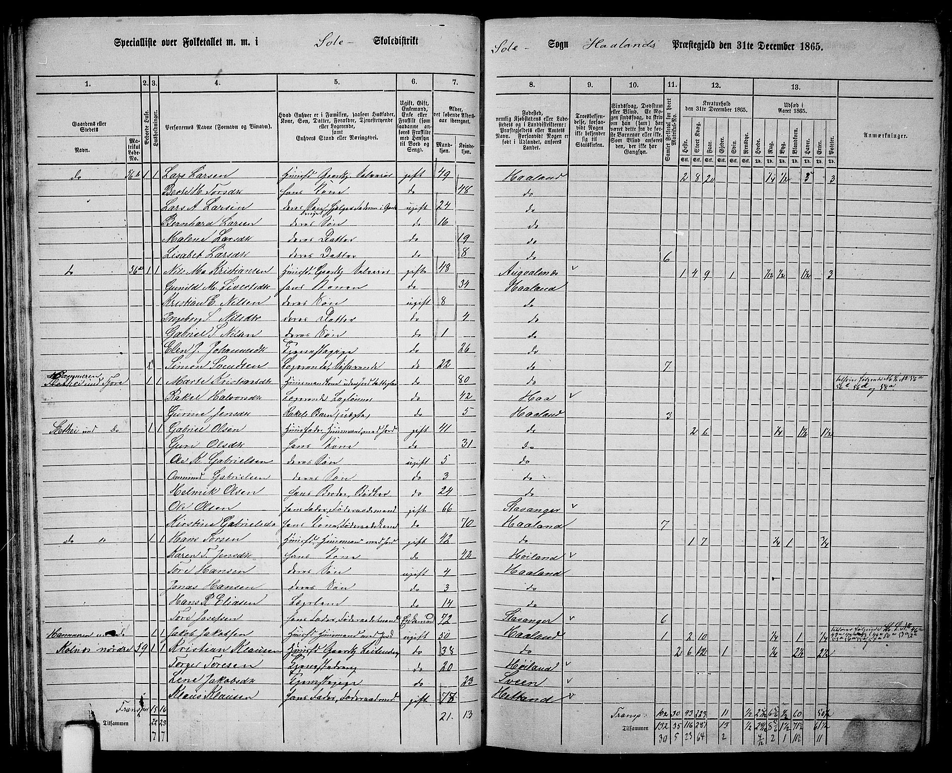 RA, 1865 census for Håland, 1865, p. 39