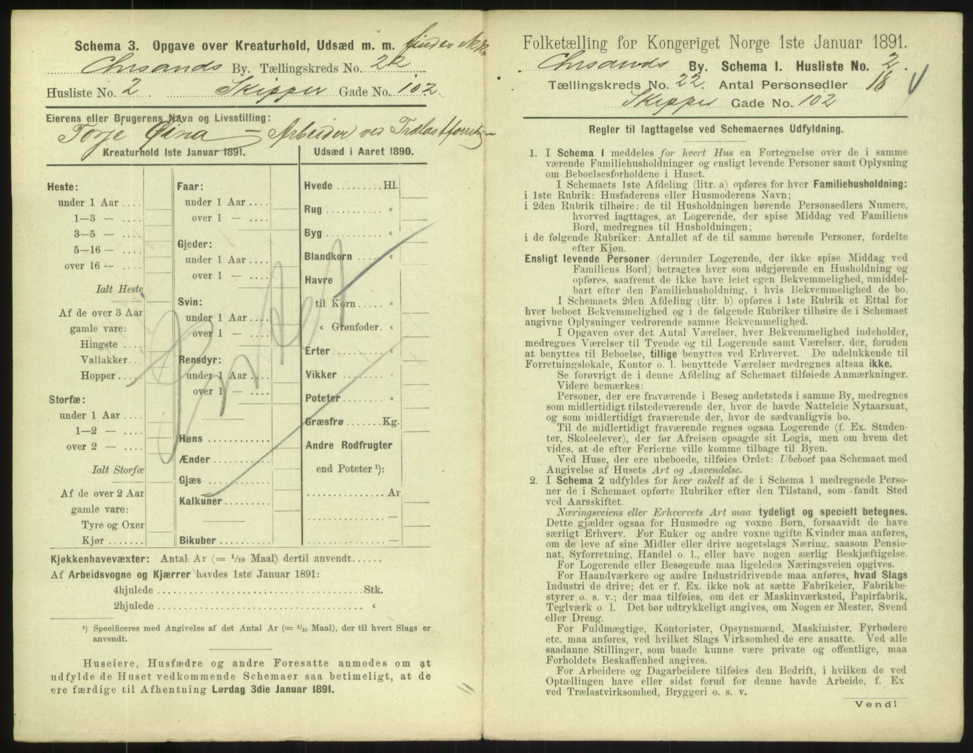 RA, 1891 census for 1001 Kristiansand, 1891, p. 1298