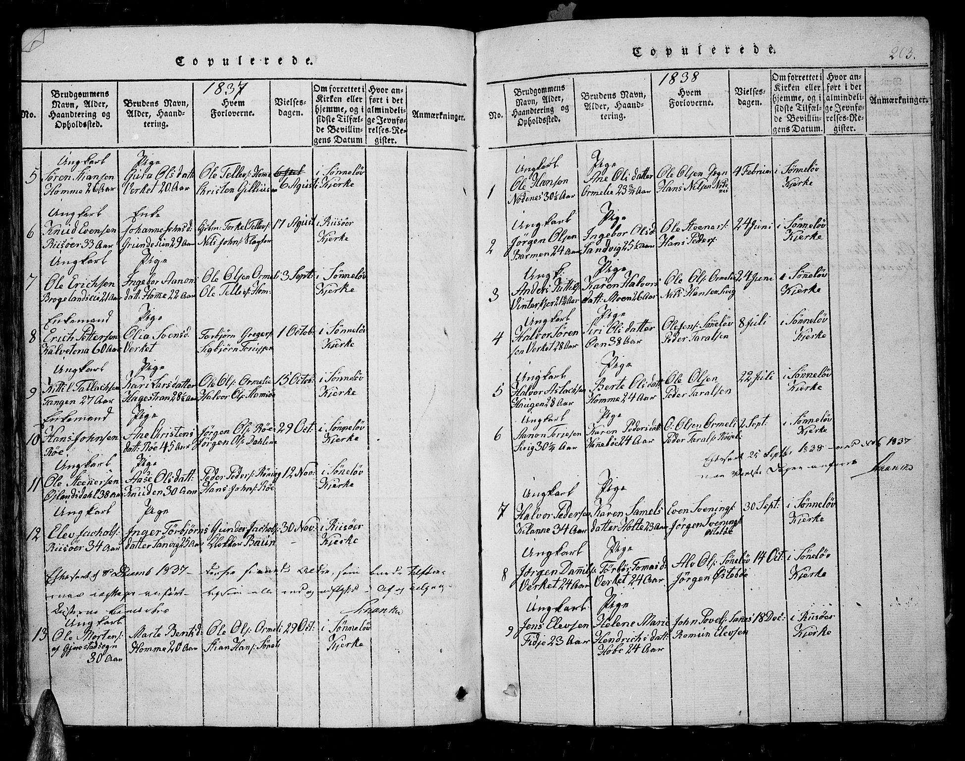 Søndeled sokneprestkontor, AV/SAK-1111-0038/F/Fb/L0002: Parish register (copy) no. B 2, 1816-1839, p. 203