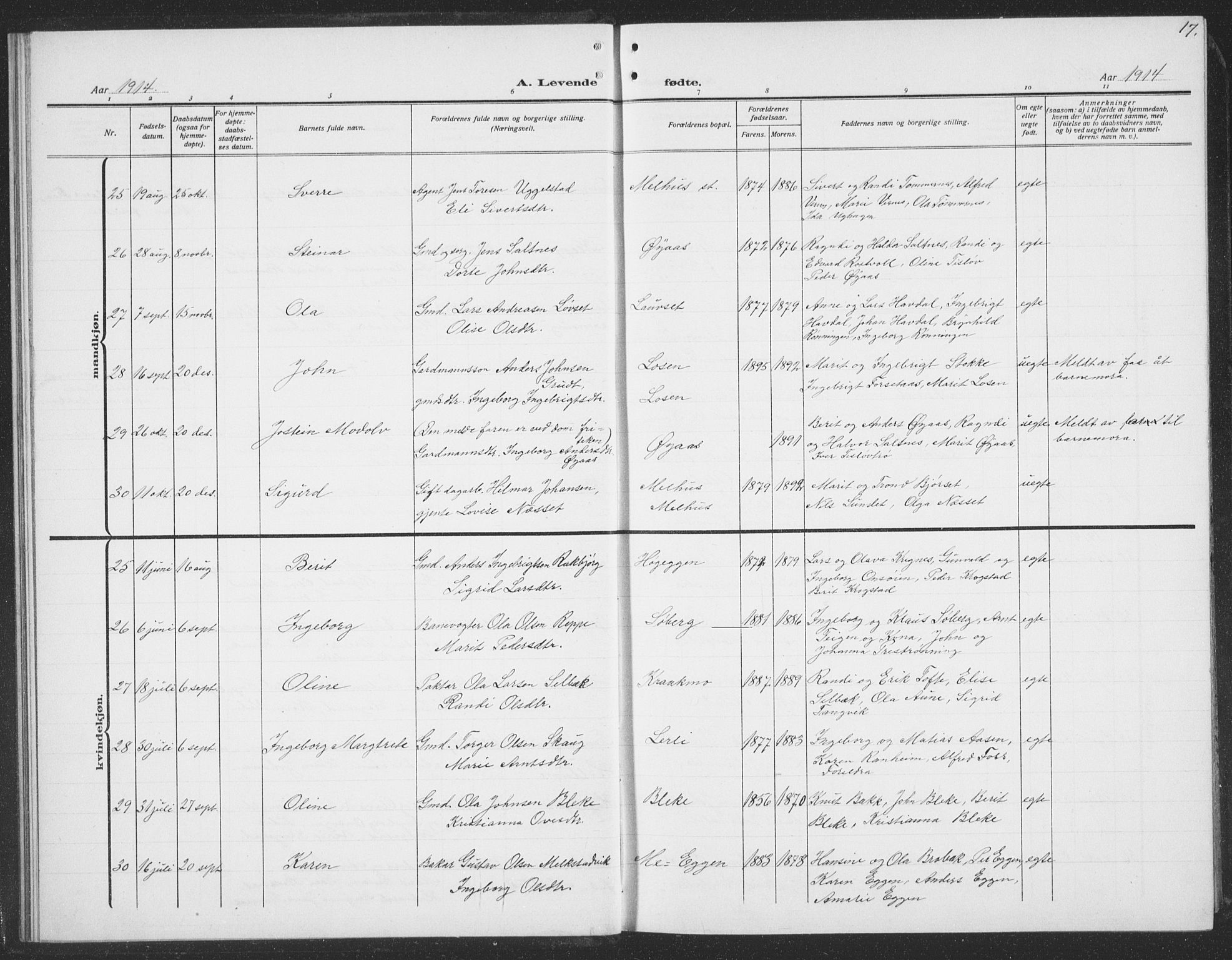 Ministerialprotokoller, klokkerbøker og fødselsregistre - Sør-Trøndelag, AV/SAT-A-1456/691/L1095: Parish register (copy) no. 691C06, 1912-1933, p. 17