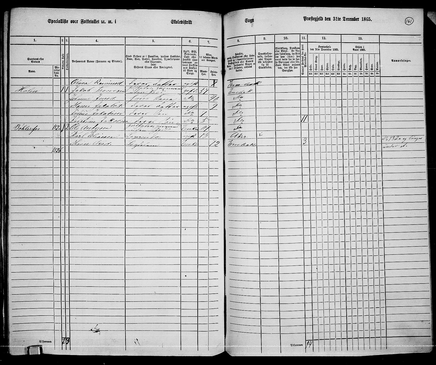 RA, 1865 census for Enebakk, 1865, p. 143