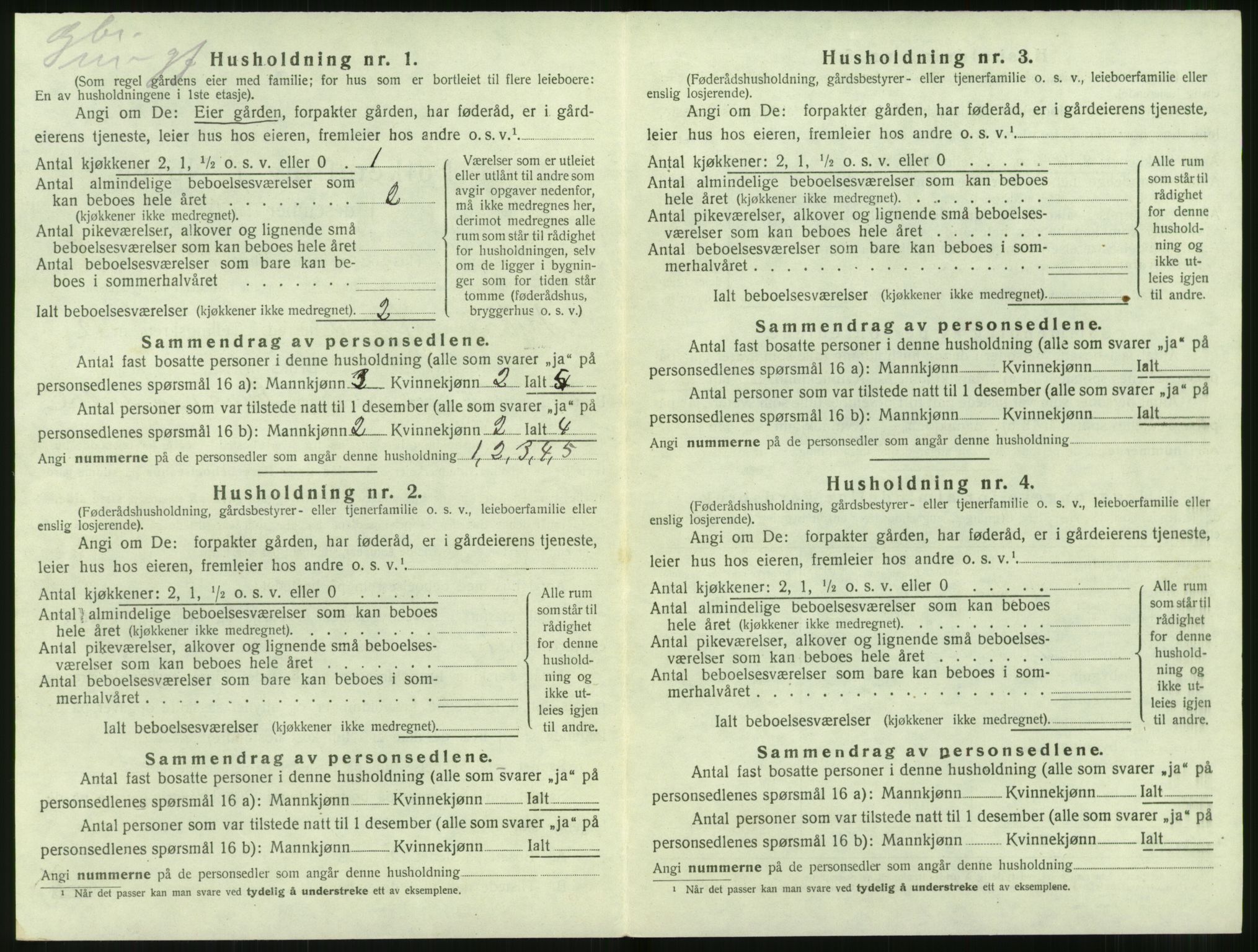 SAT, 1920 census for Hjørundfjord, 1920, p. 610