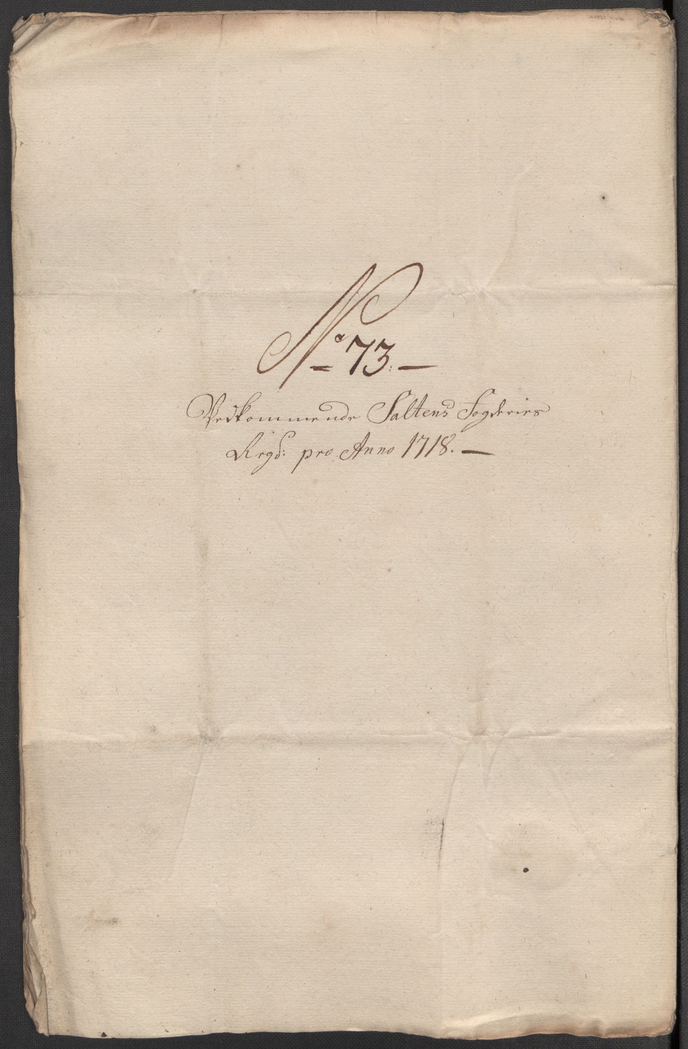 Rentekammeret inntil 1814, Reviderte regnskaper, Fogderegnskap, AV/RA-EA-4092/R66/L4588: Fogderegnskap Salten, 1718, p. 420