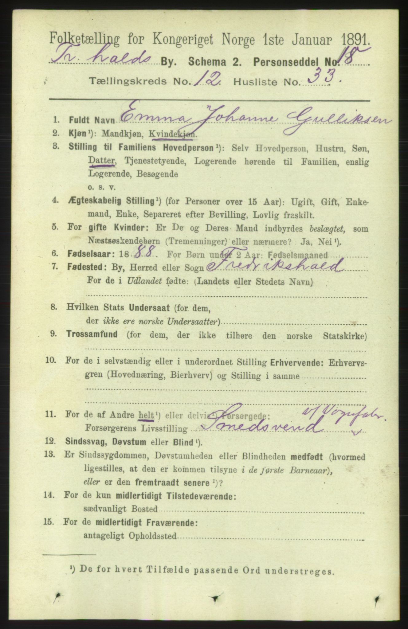 RA, 1891 census for 0101 Fredrikshald, 1891, p. 8719