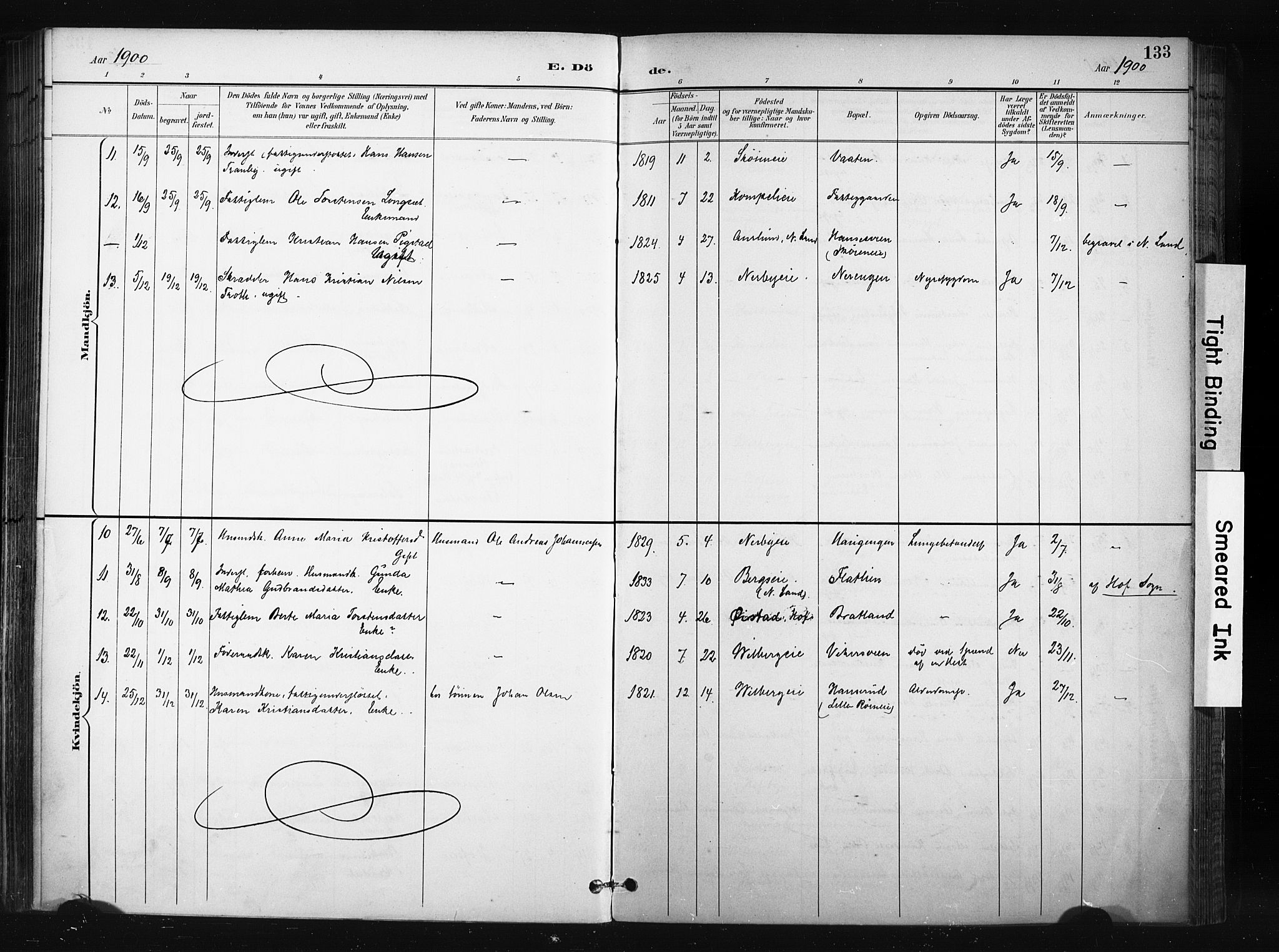 Søndre Land prestekontor, SAH/PREST-122/K/L0004: Parish register (official) no. 4, 1895-1904, p. 133
