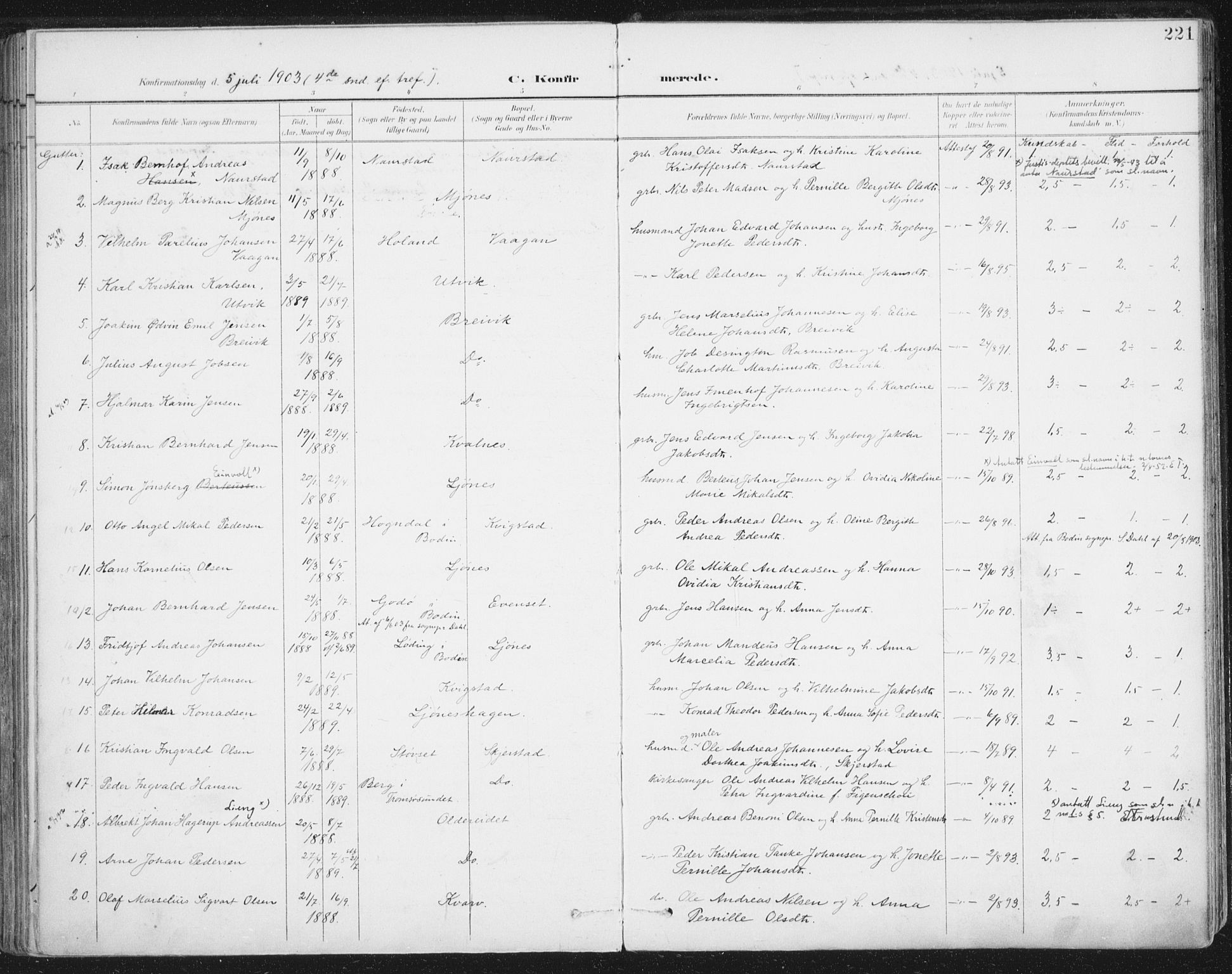 Ministerialprotokoller, klokkerbøker og fødselsregistre - Nordland, AV/SAT-A-1459/852/L0741: Parish register (official) no. 852A11, 1894-1917, p. 221