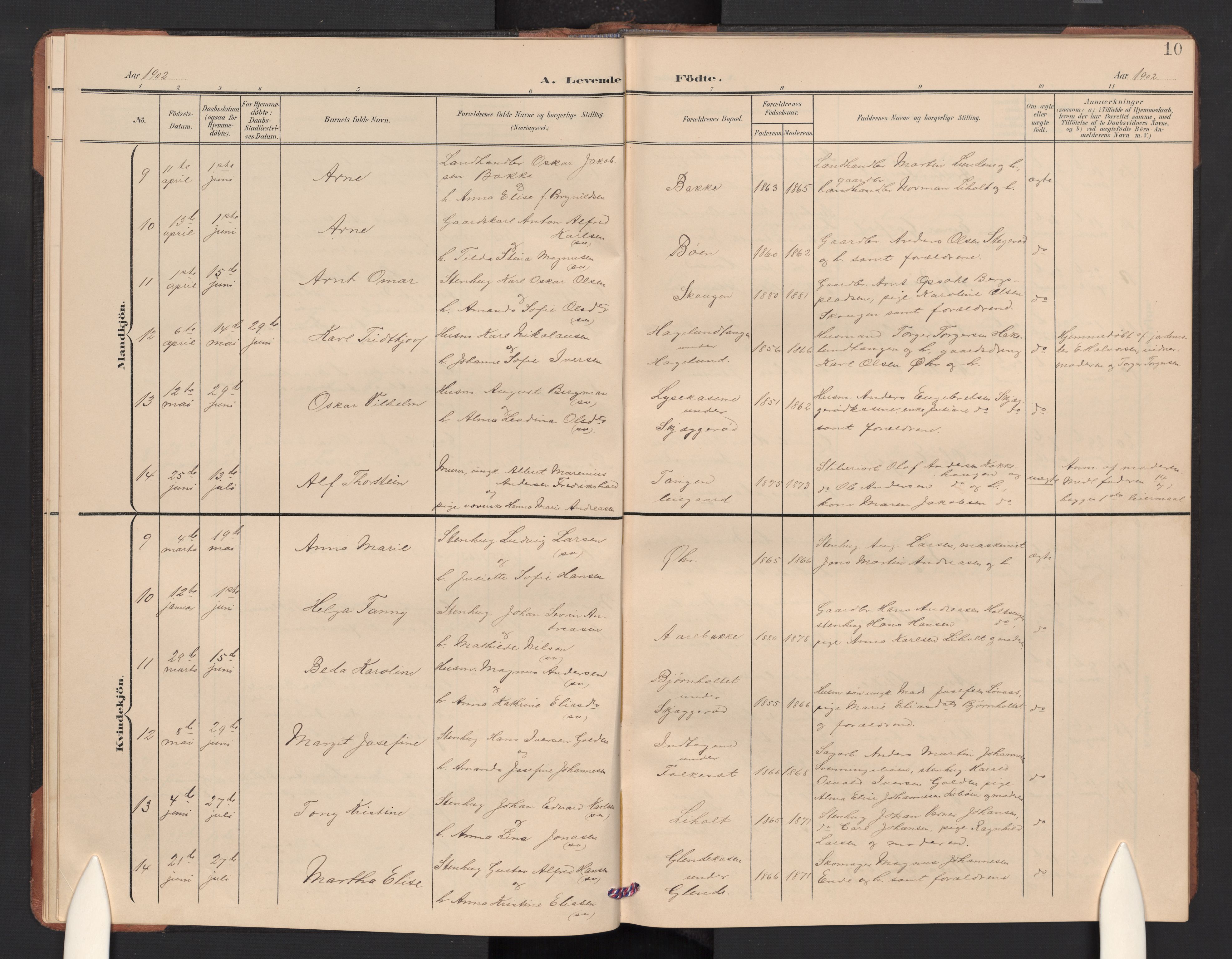 Idd prestekontor Kirkebøker, AV/SAO-A-10911/G/Gc/L0001: Parish register (copy) no. III 1, 1901-1910, p. 10
