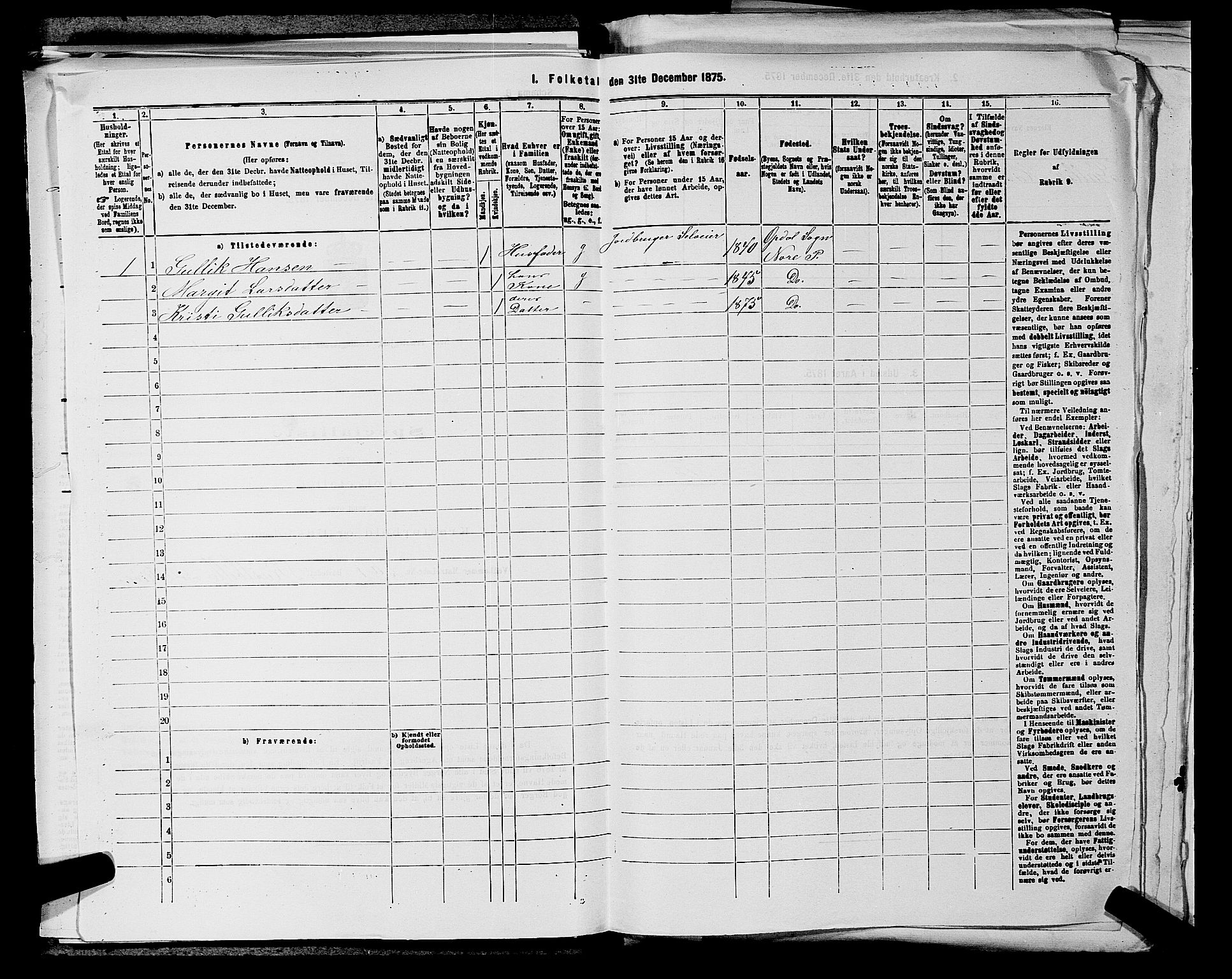 SAKO, 1875 census for 0633P Nore, 1875, p. 325
