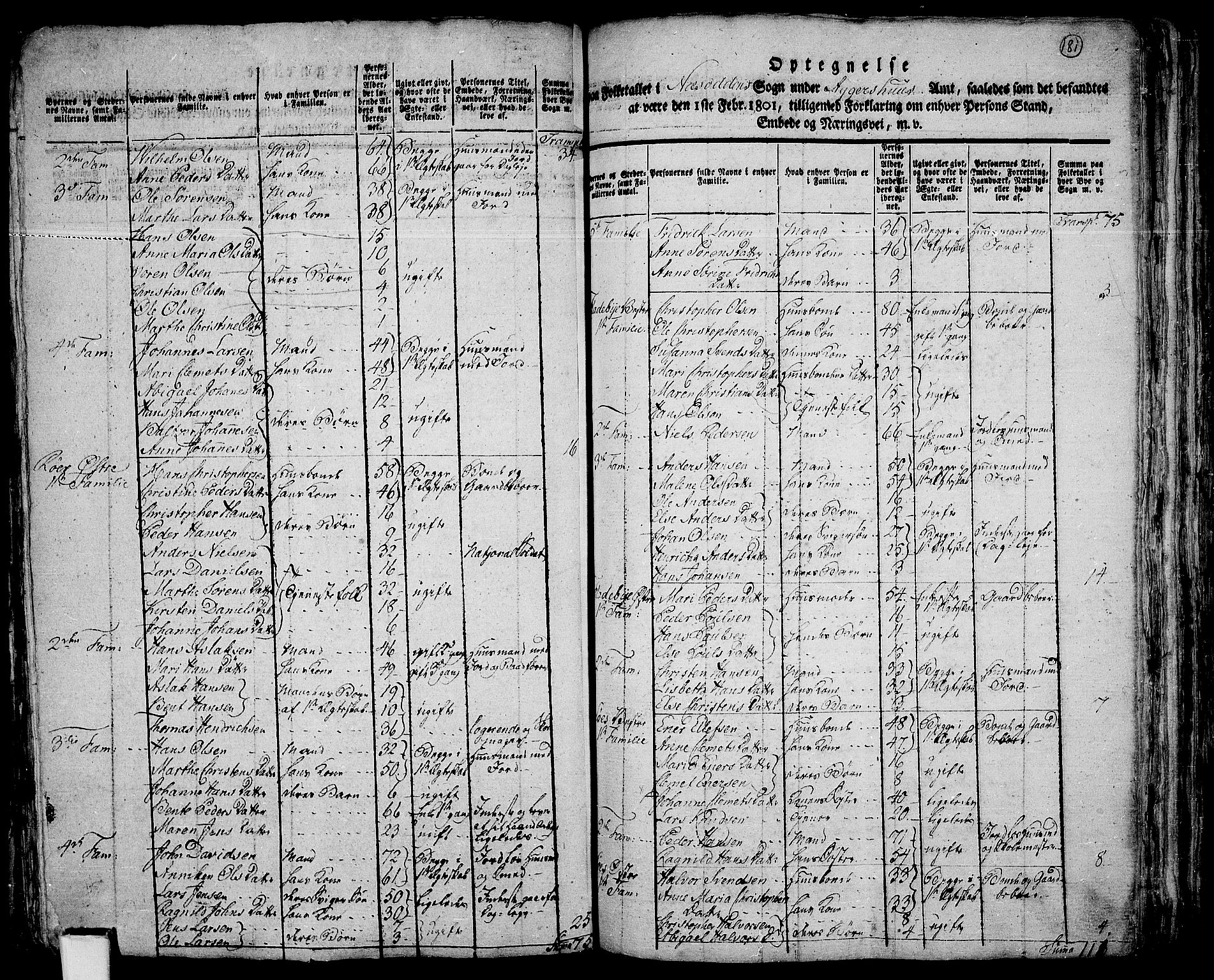 RA, 1801 census for 0216P Nesodden, 1801, p. 180b-181a