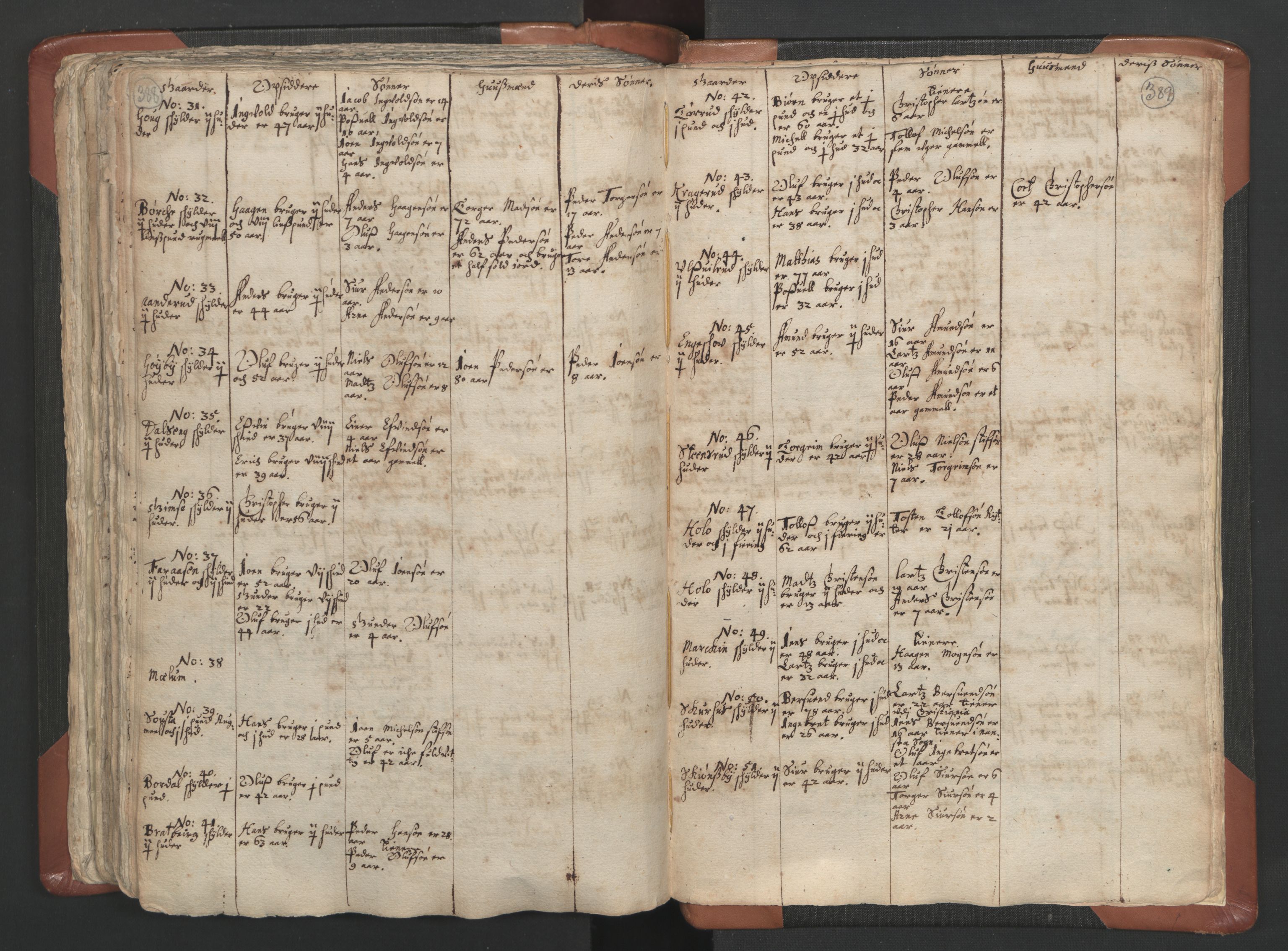 RA, Vicar's Census 1664-1666, no. 5: Hedmark deanery, 1664-1666, p. 388-389