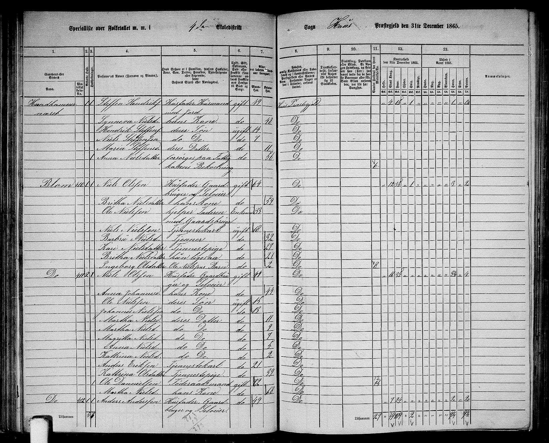 RA, 1865 census for Haus, 1865, p. 84