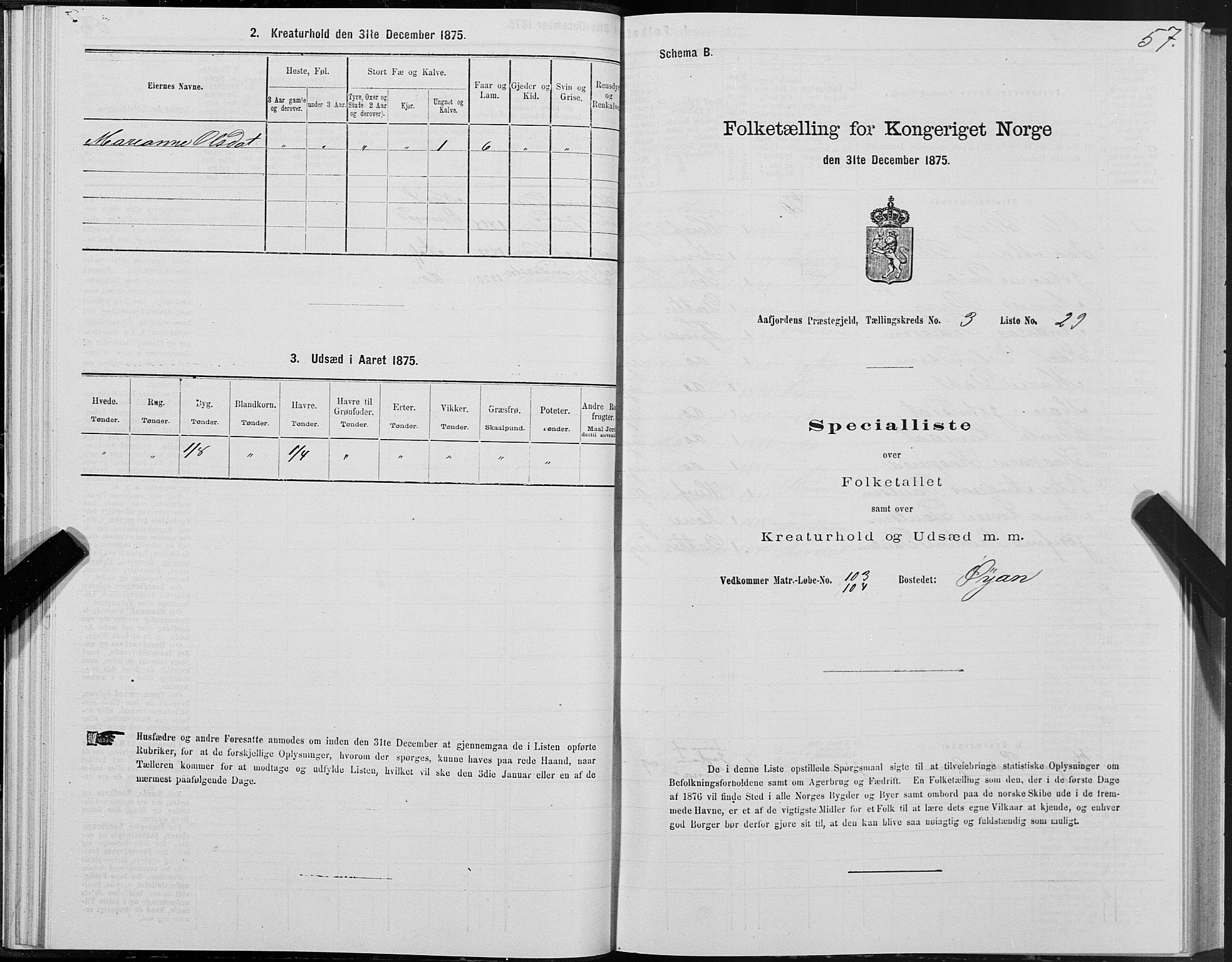 SAT, 1875 census for 1630P Aafjorden, 1875, p. 2057