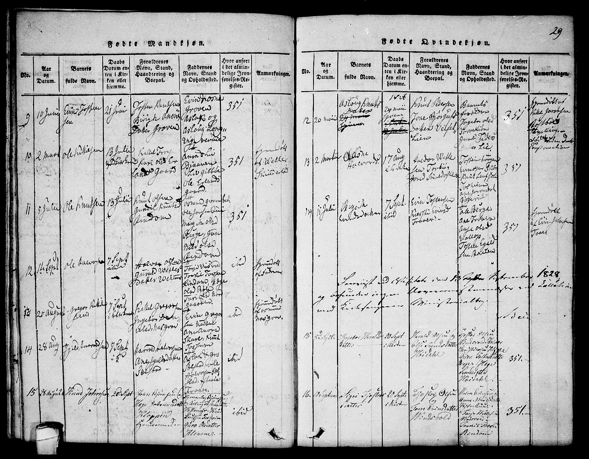 Seljord kirkebøker, SAKO/A-20/F/Fc/L0001: Parish register (official) no. III 1, 1815-1831, p. 29