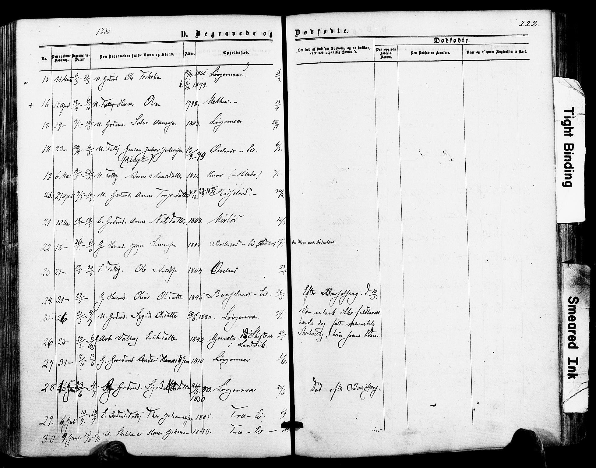 Froland sokneprestkontor, AV/SAK-1111-0013/F/Fa/L0003: Parish register (official) no. A 3, 1864-1881, p. 222