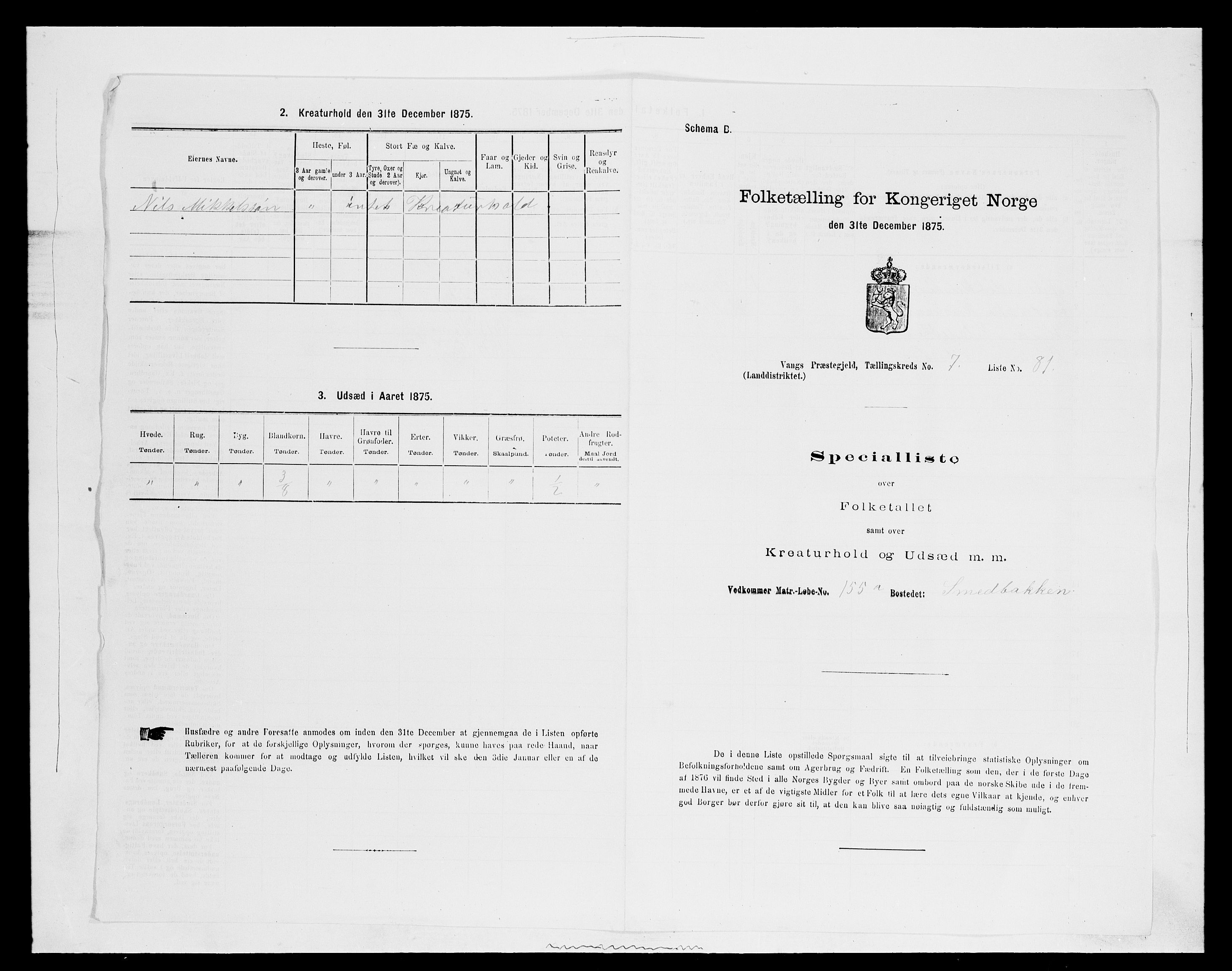 SAH, 1875 census for 0414L Vang/Vang og Furnes, 1875, p. 1625