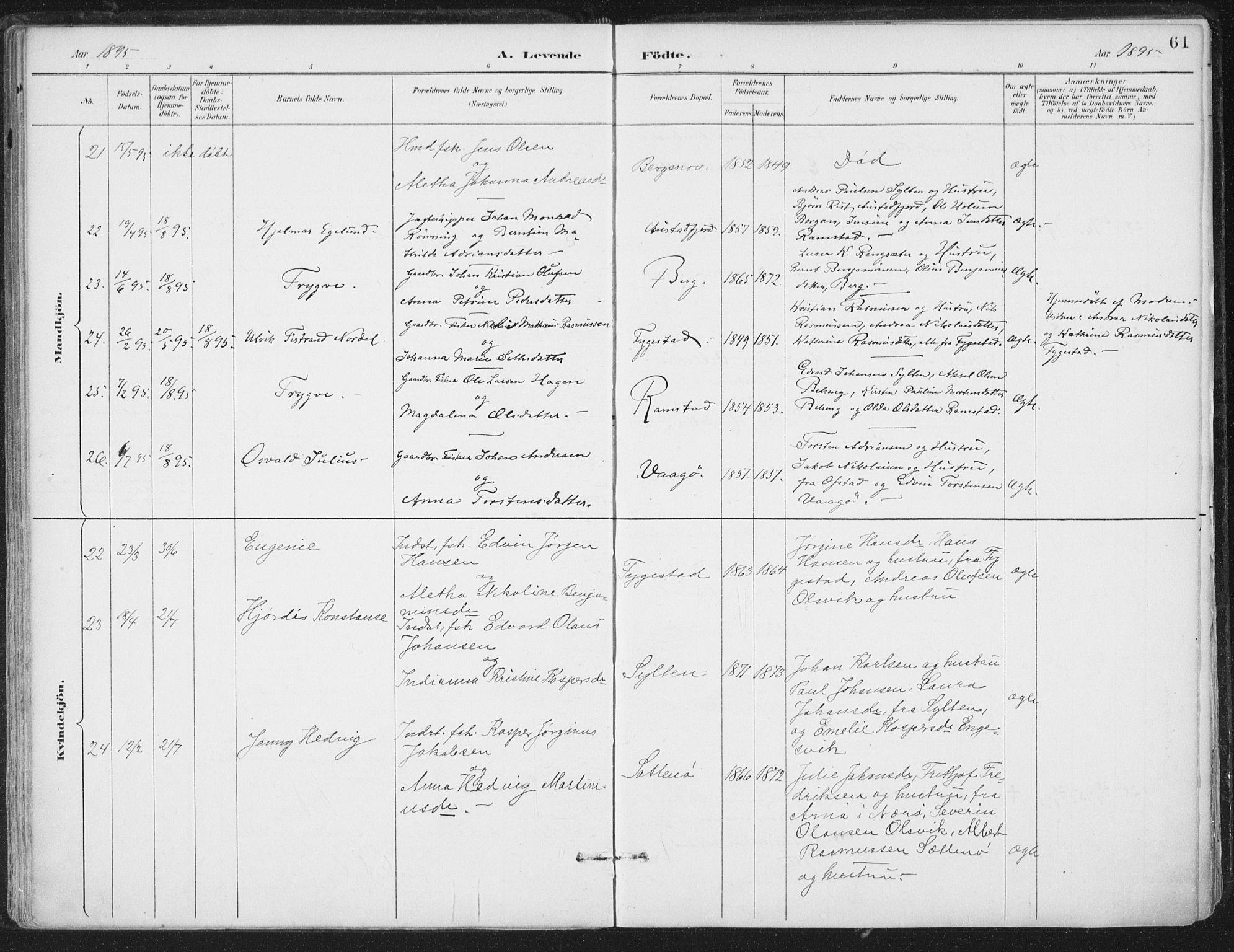 Ministerialprotokoller, klokkerbøker og fødselsregistre - Nord-Trøndelag, AV/SAT-A-1458/786/L0687: Parish register (official) no. 786A03, 1888-1898, p. 61