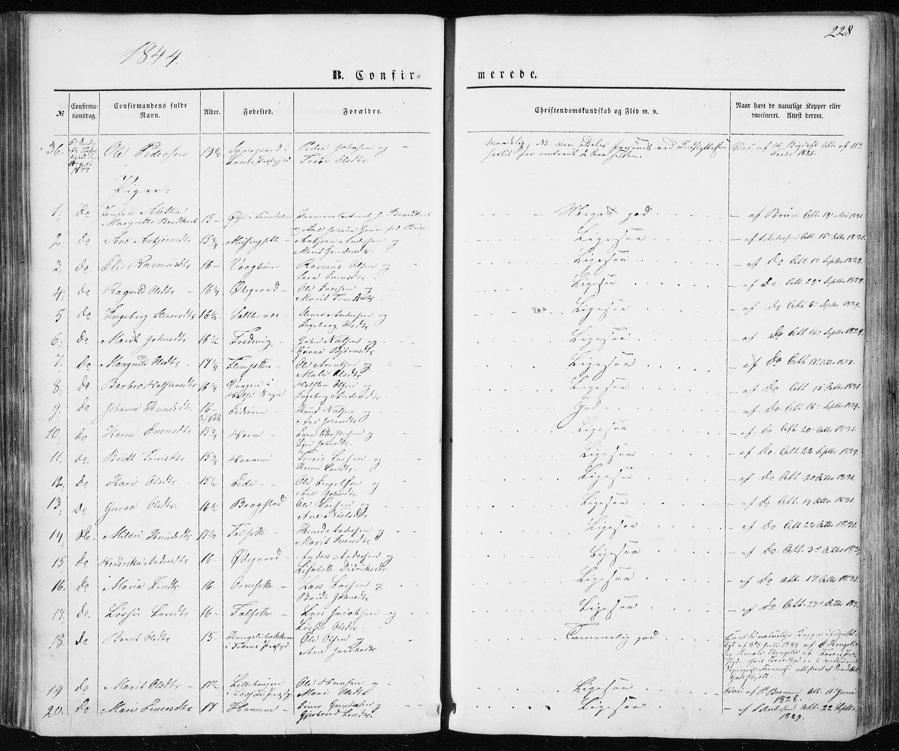 Ministerialprotokoller, klokkerbøker og fødselsregistre - Møre og Romsdal, AV/SAT-A-1454/586/L0984: Parish register (official) no. 586A10, 1844-1856, p. 228