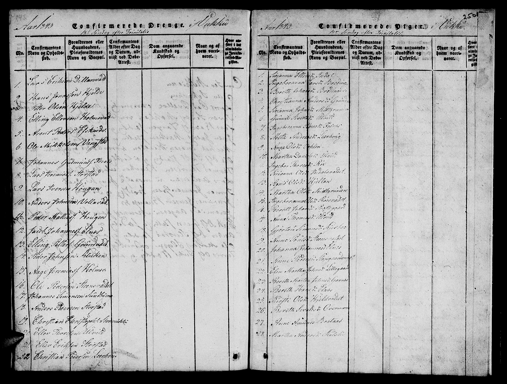 Ministerialprotokoller, klokkerbøker og fødselsregistre - Nord-Trøndelag, AV/SAT-A-1458/723/L0251: Parish register (copy) no. 723C01 /2, 1843-1845, p. 250