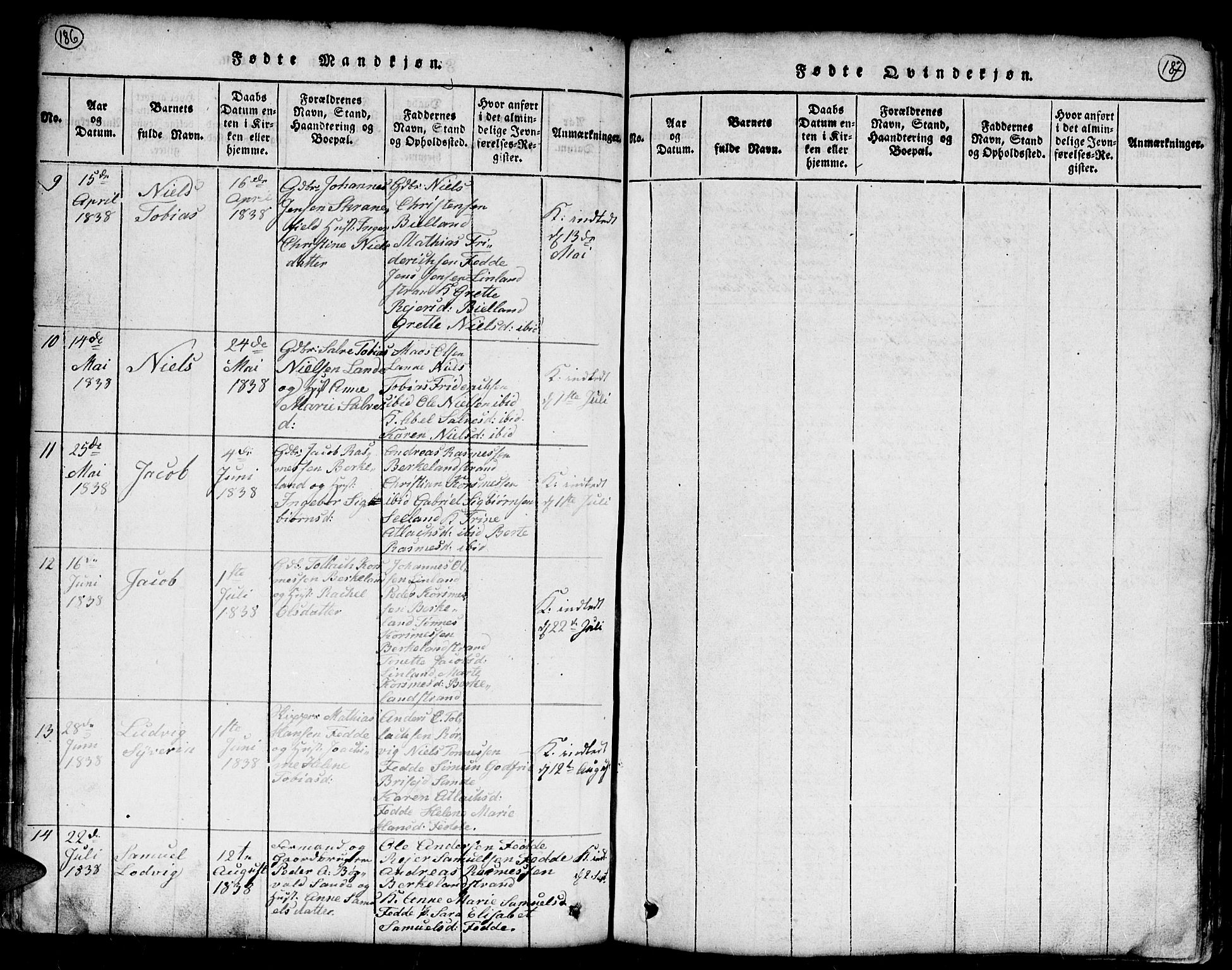 Kvinesdal sokneprestkontor, SAK/1111-0026/F/Fb/Fba/L0001: Parish register (copy) no. B 1, 1815-1839, p. 186-187