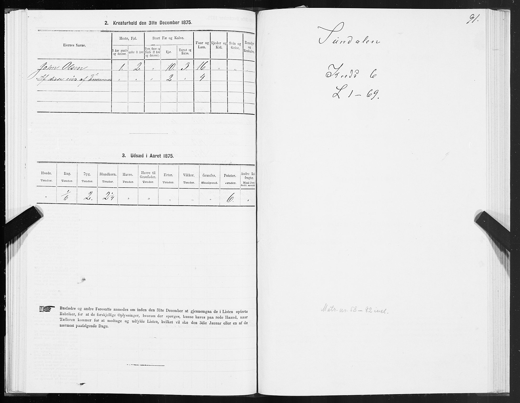 SAT, 1875 census for 1563P Sunndal, 1875, p. 2091