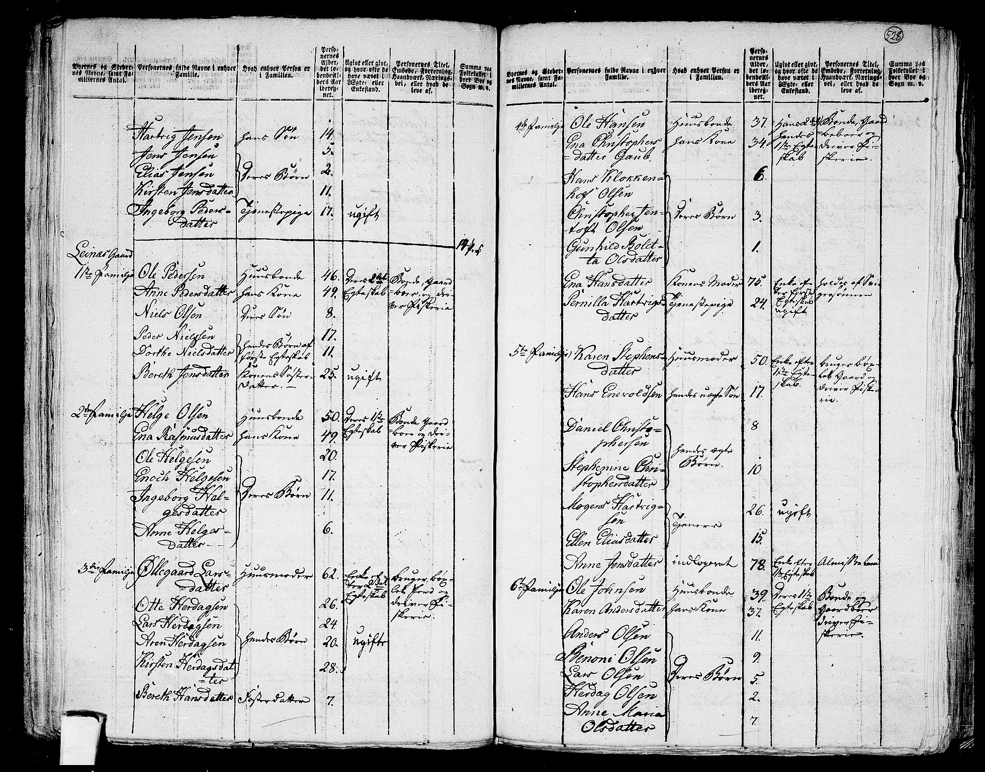 RA, 1801 census for 1848P Steigen, 1801, p. 527b-528a