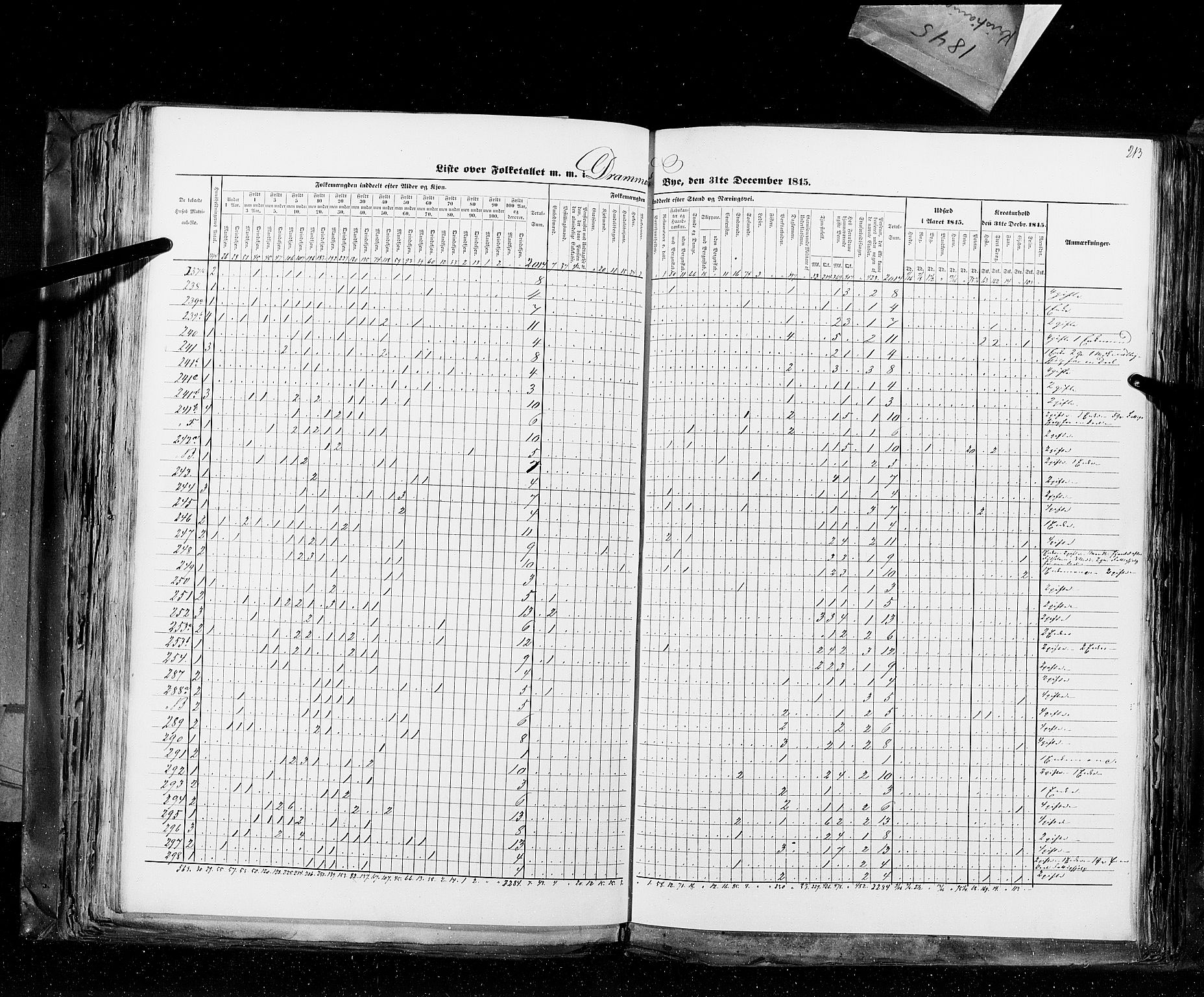 RA, Census 1845, vol. 10: Cities, 1845, p. 213